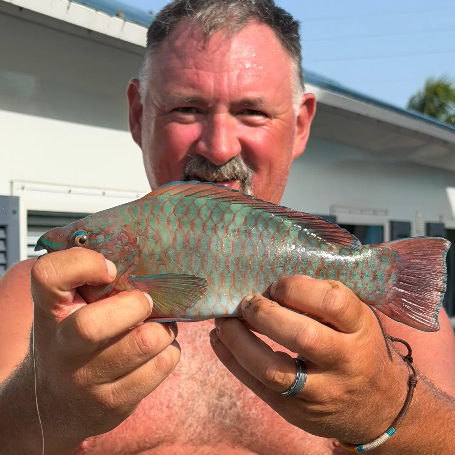 The most recent Rainbow parrotfish catches on Fishbrain