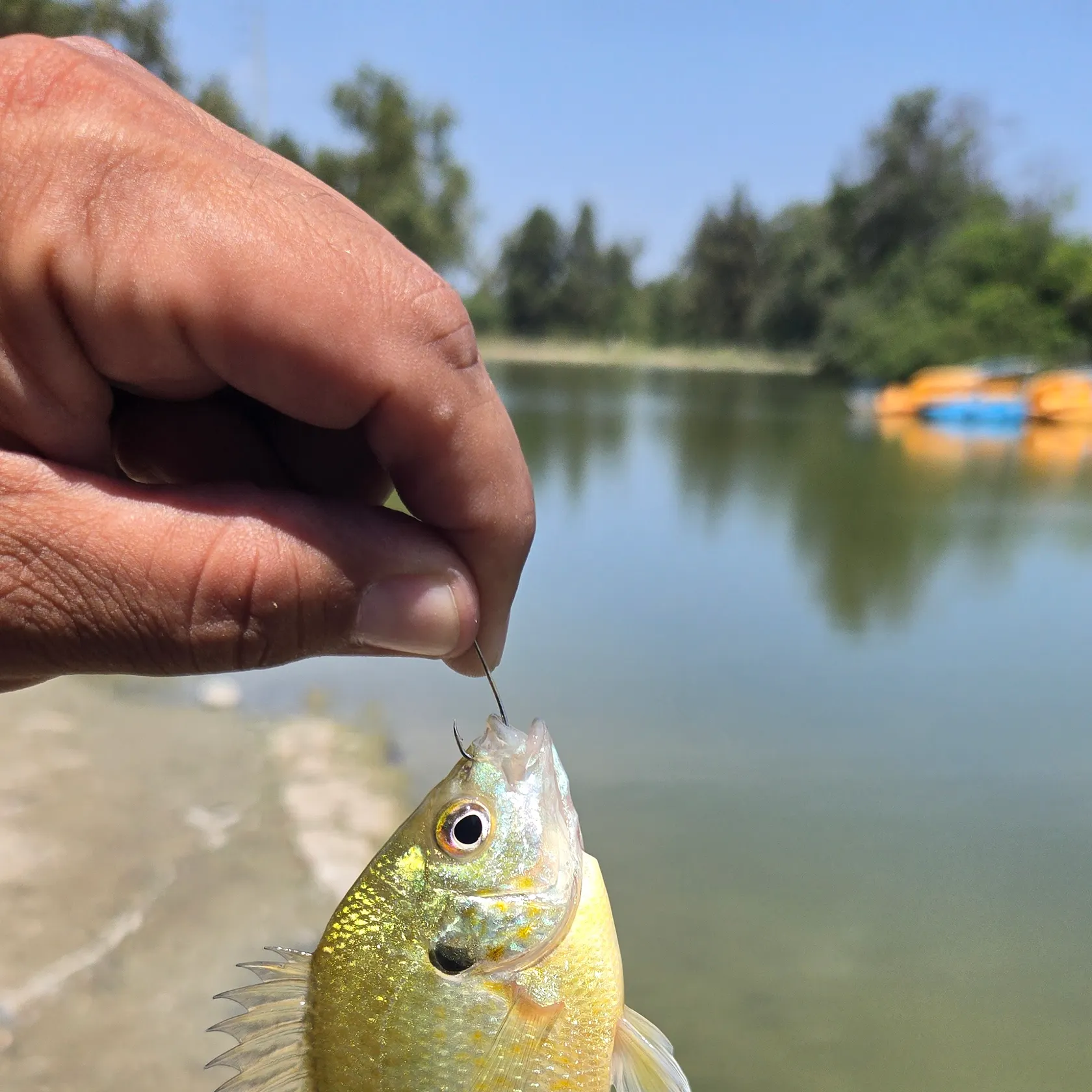 catch
