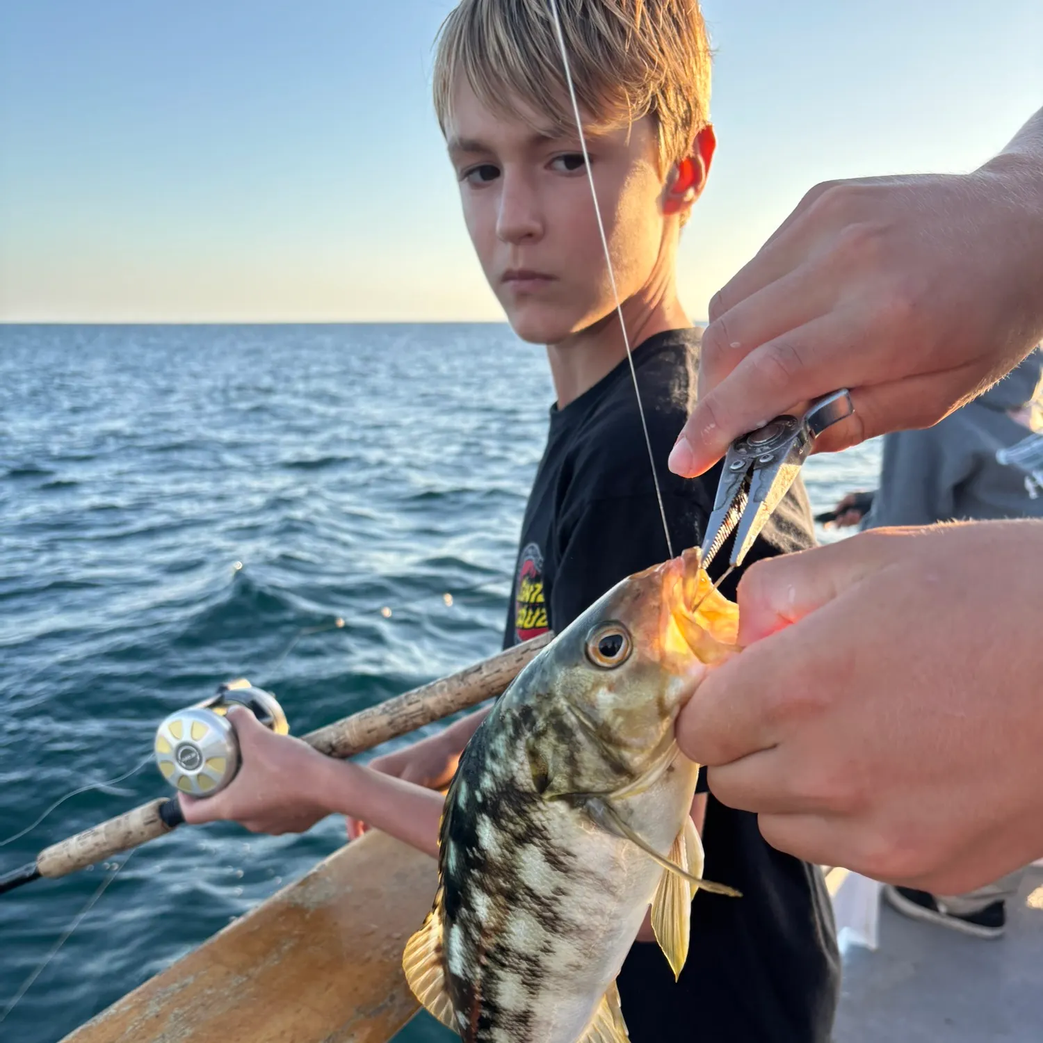 recently logged catches