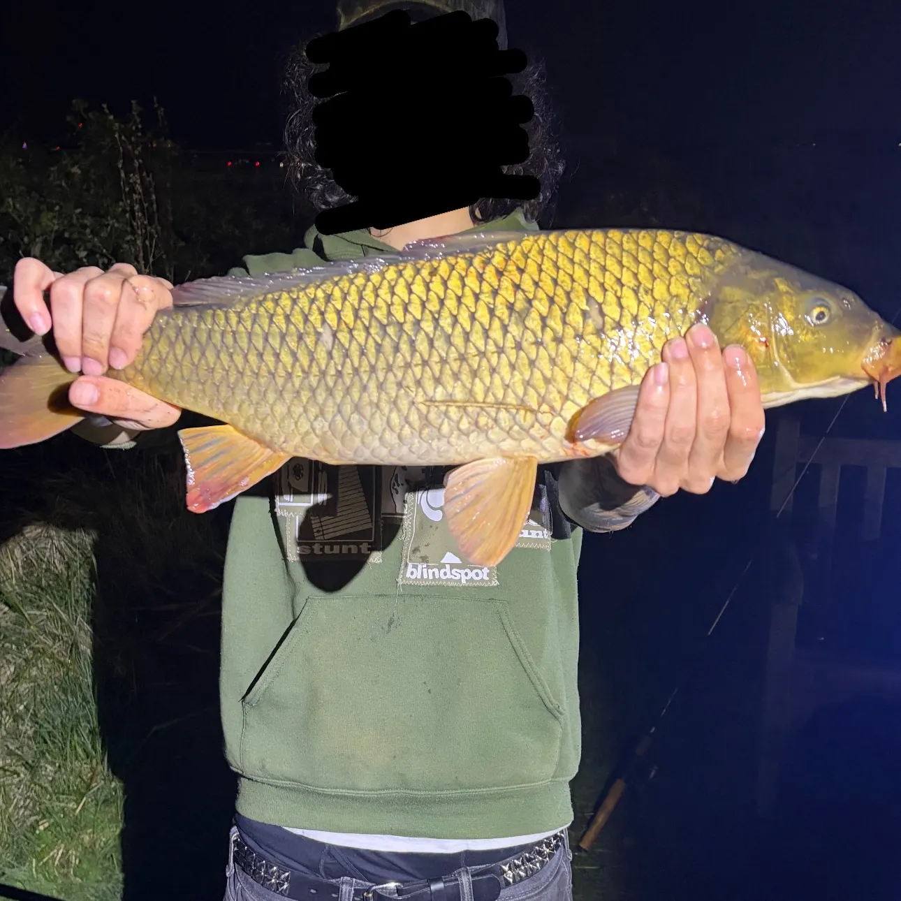 The most recent Common carp catches on Fishbrain