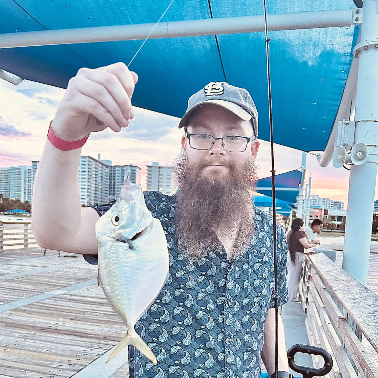 The most recent Lookdown catches on Fishbrain