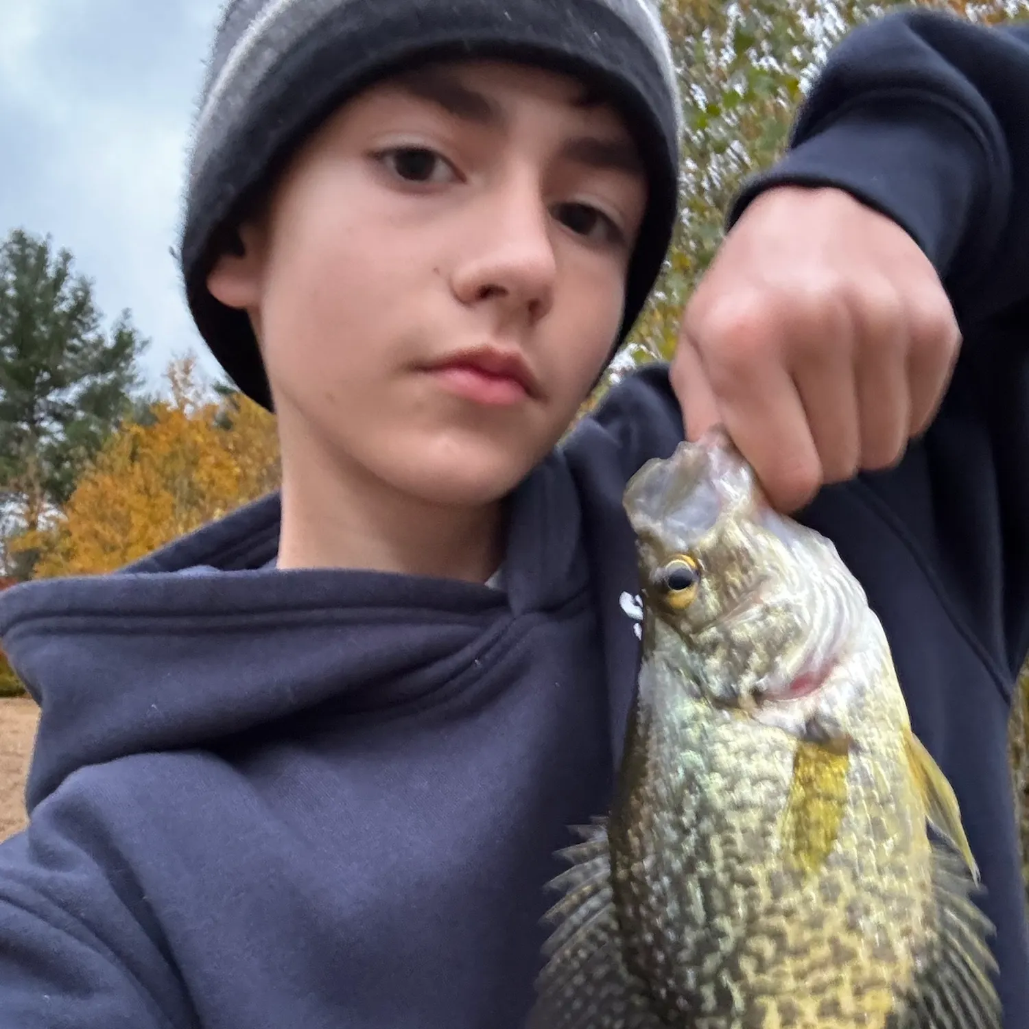 Black crappie caught on Fishbrain
