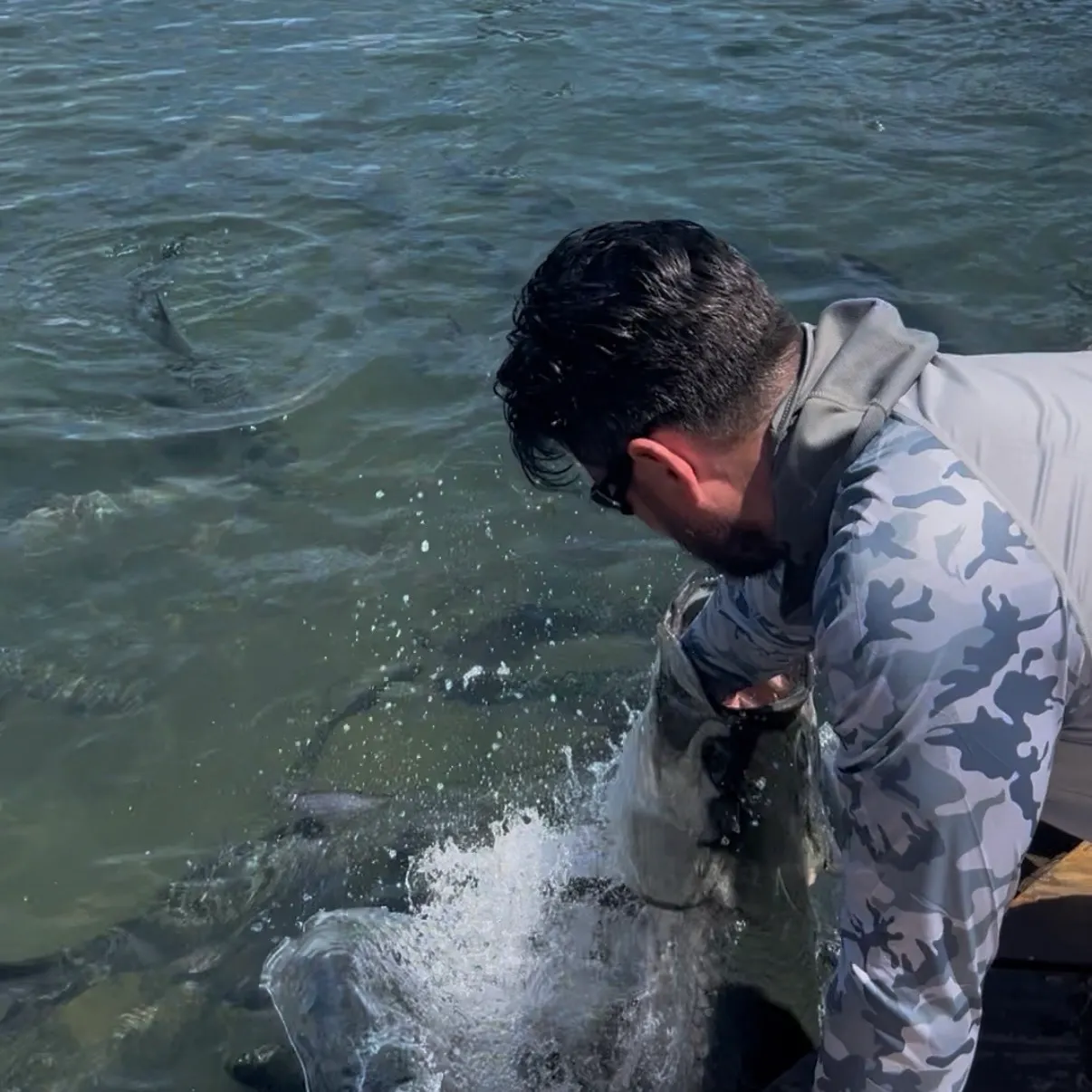 The most recent Tarpon catches on Fishbrain