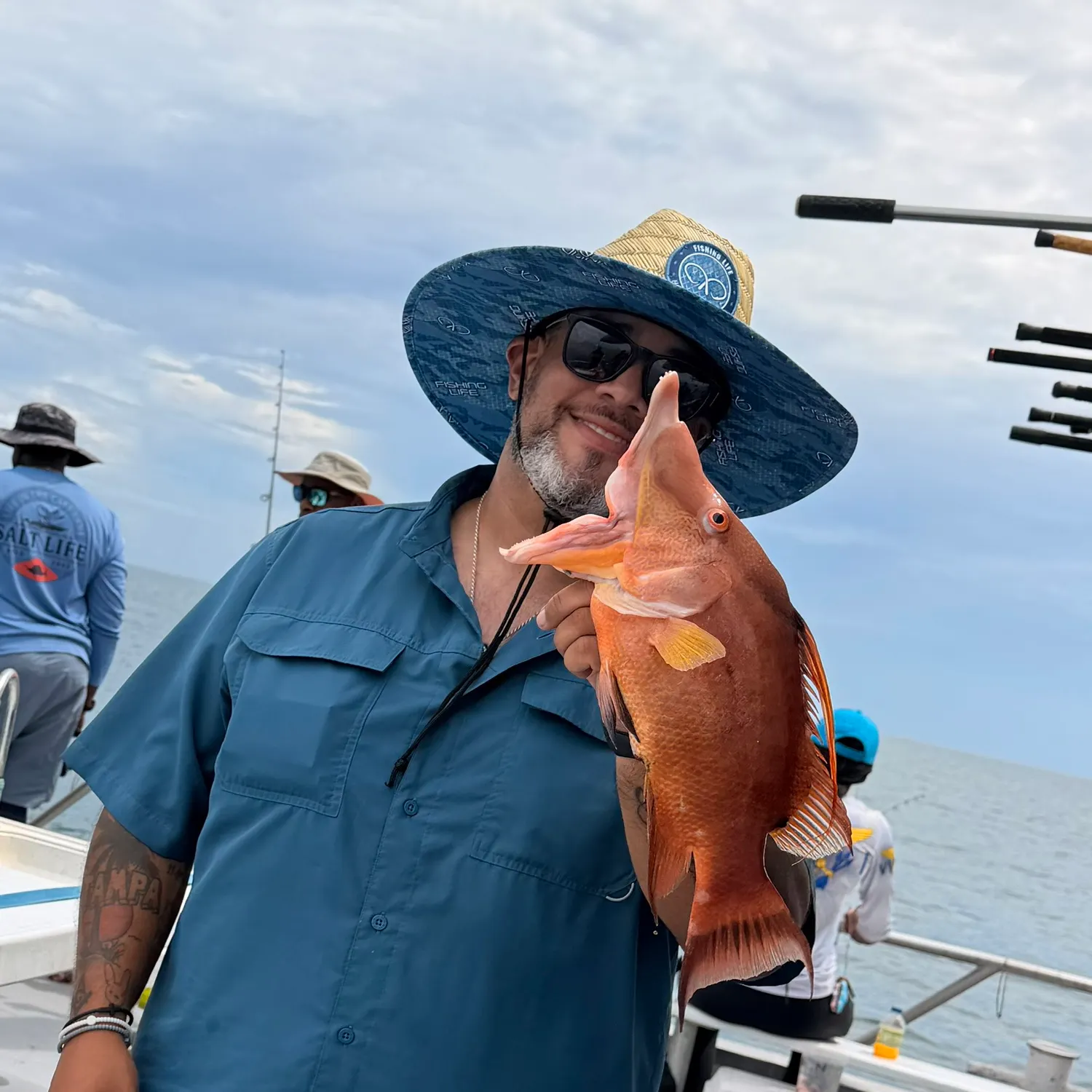 The most recent Hogfish catches on Fishbrain
