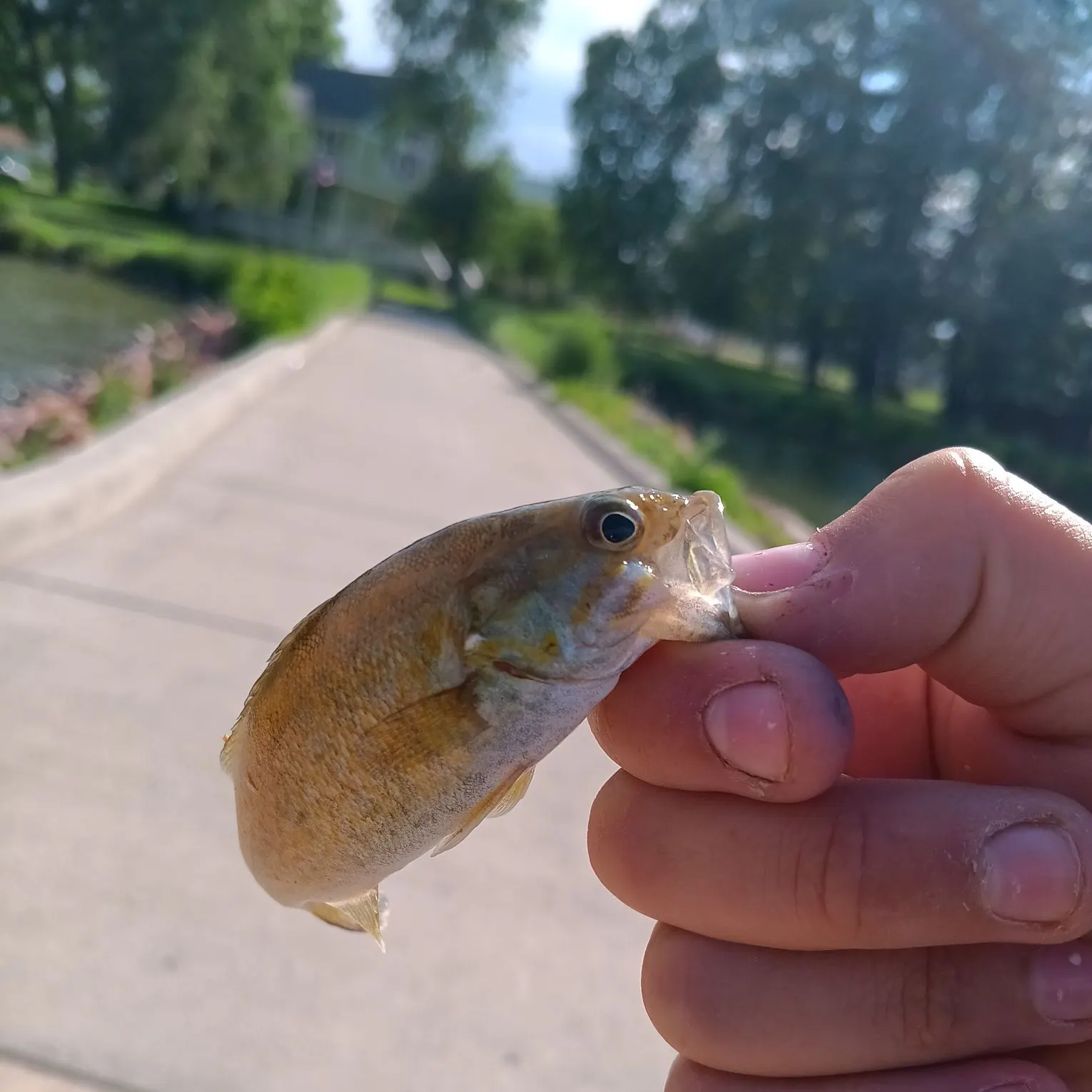 catch