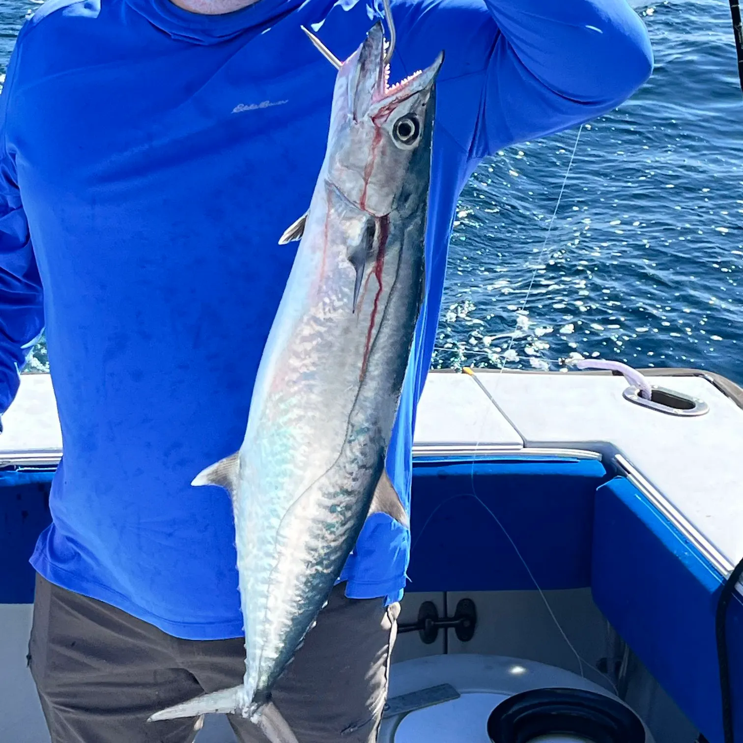 most liked catch image