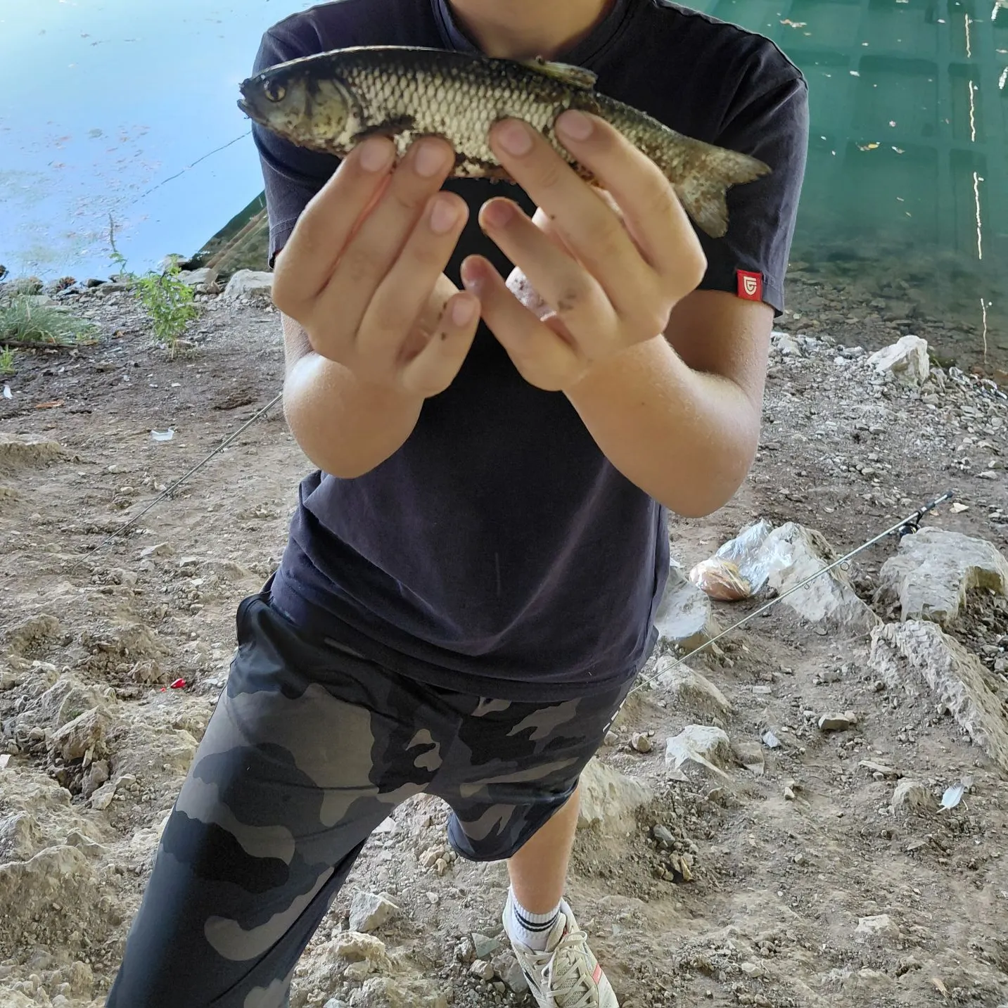 European chub caught on Fishbrain