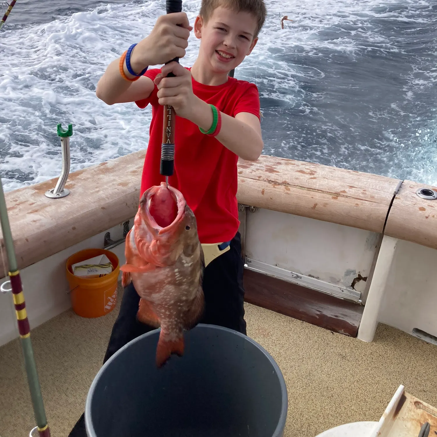Red grouper caught on Fishbrain