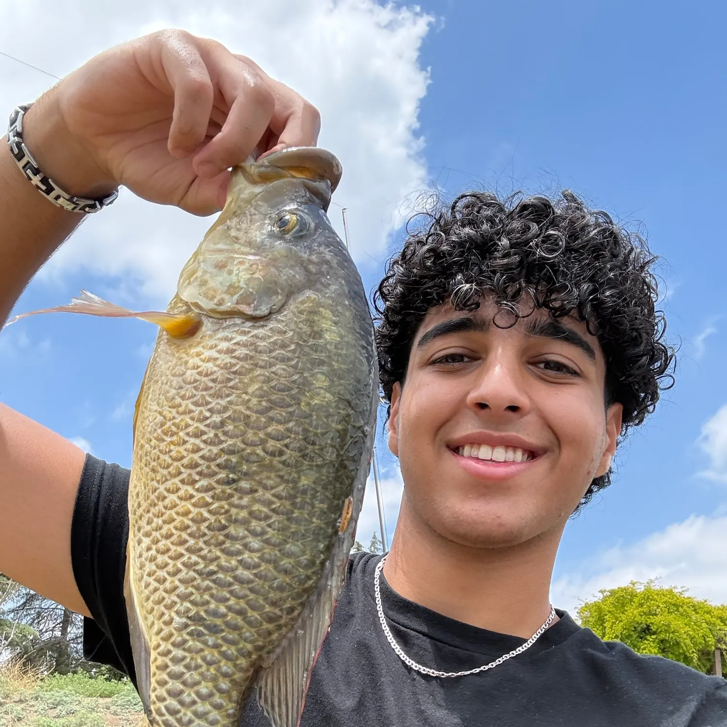 The most recent Blue tilapia catches on Fishbrain