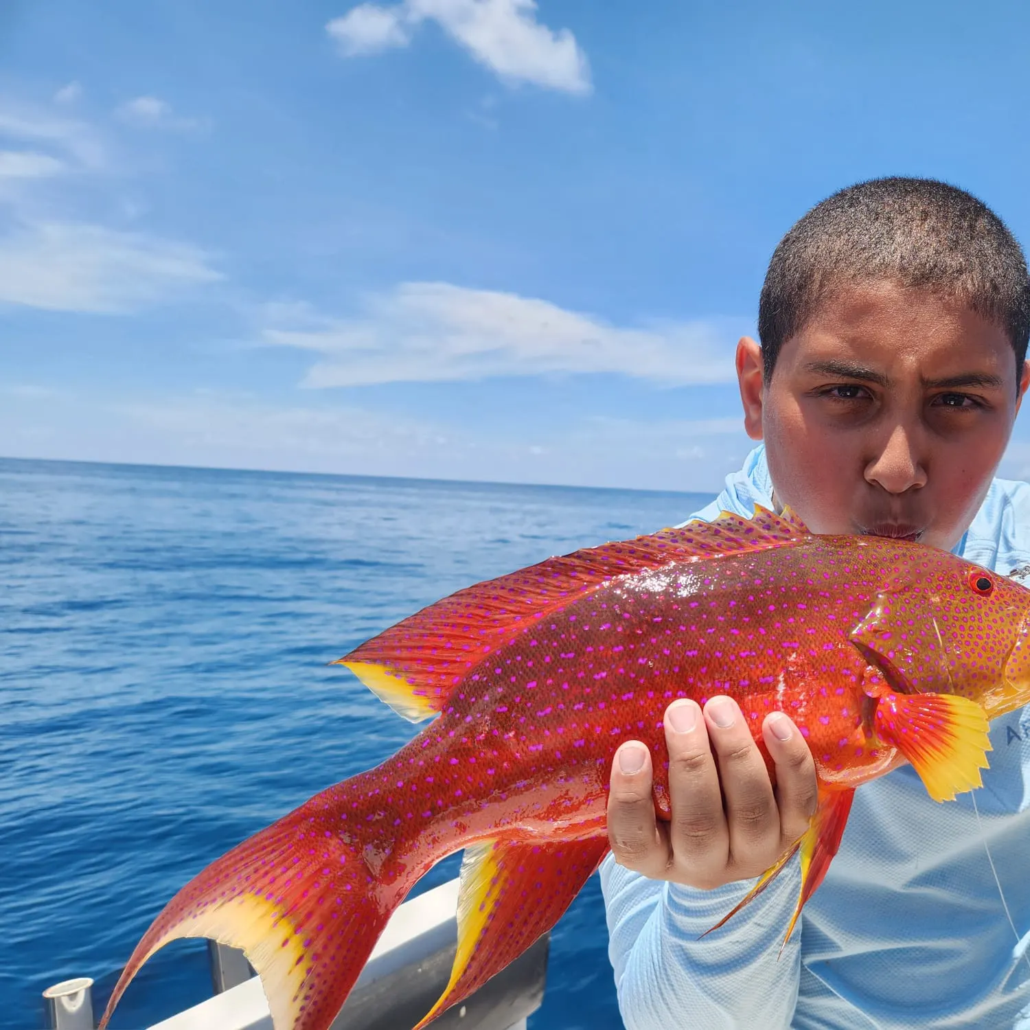 The most recent Yellow-edged lyretail catches on Fishbrain