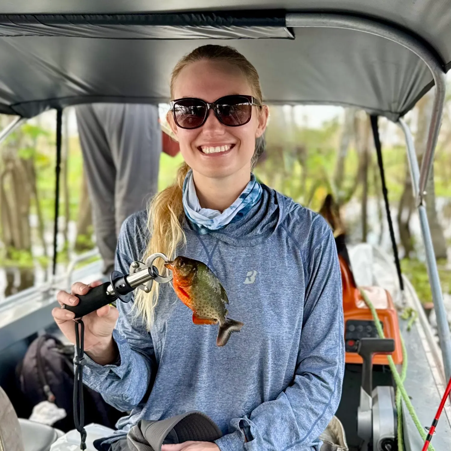 The most recent Red-bellied piranha catches on Fishbrain