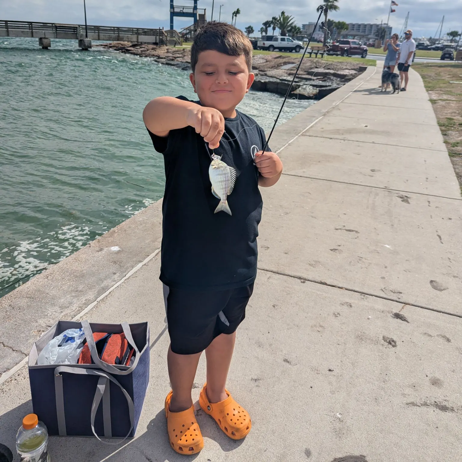 Pinfish caught on Fishbrain