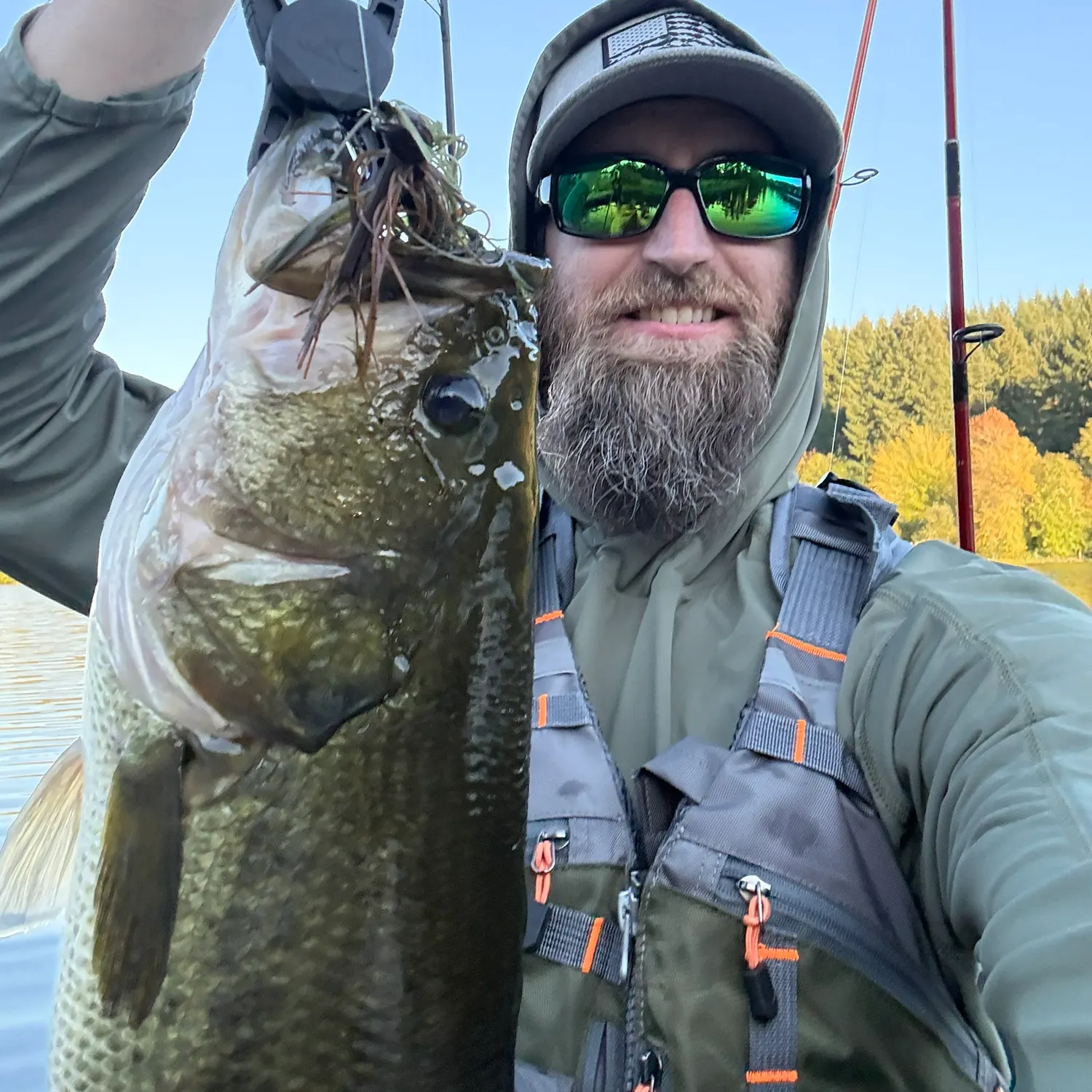 Largemouth bass caught on Fishbrain