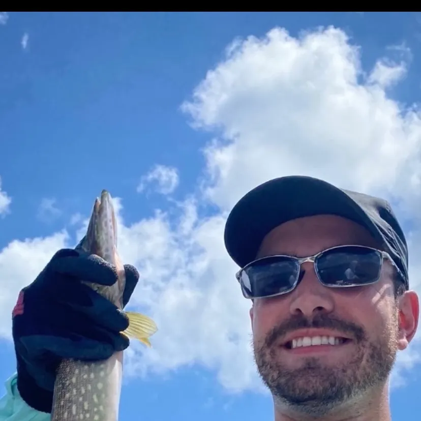 The most recent Northern pike catches on Fishbrain