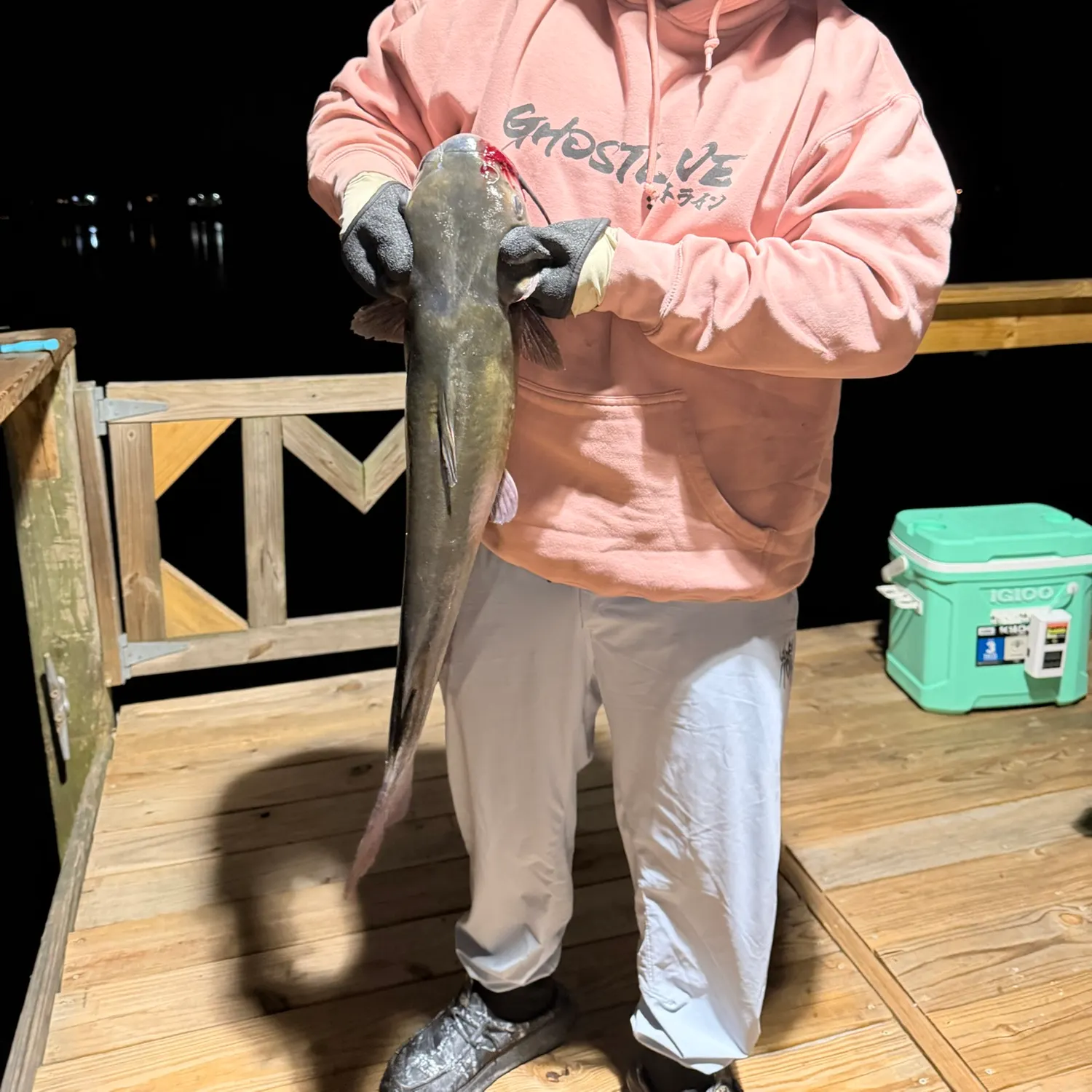 Channel catfish caught on Fishbrain