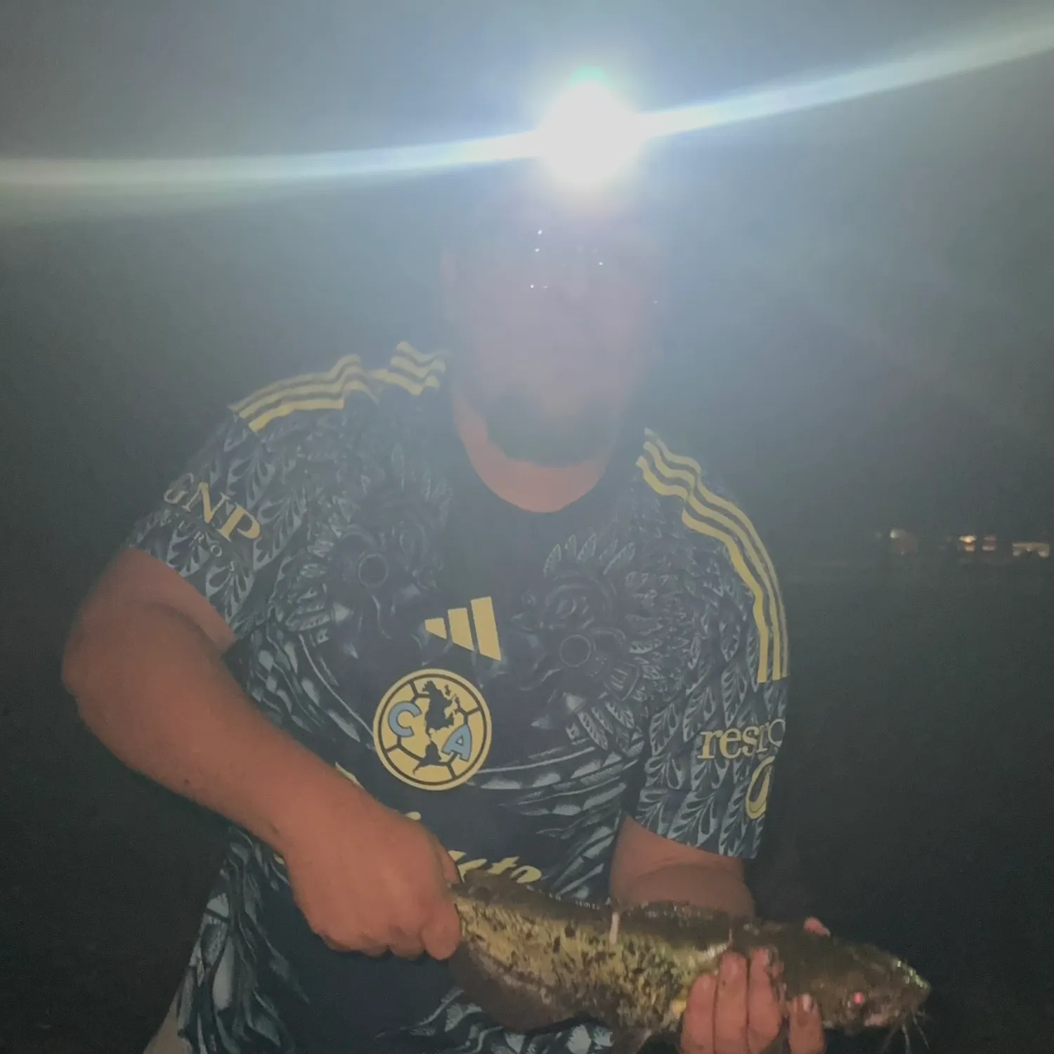Channel catfish caught on Fishbrain