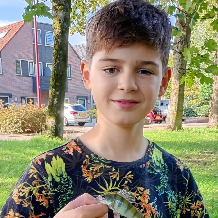 European perch caught on Fishbrain