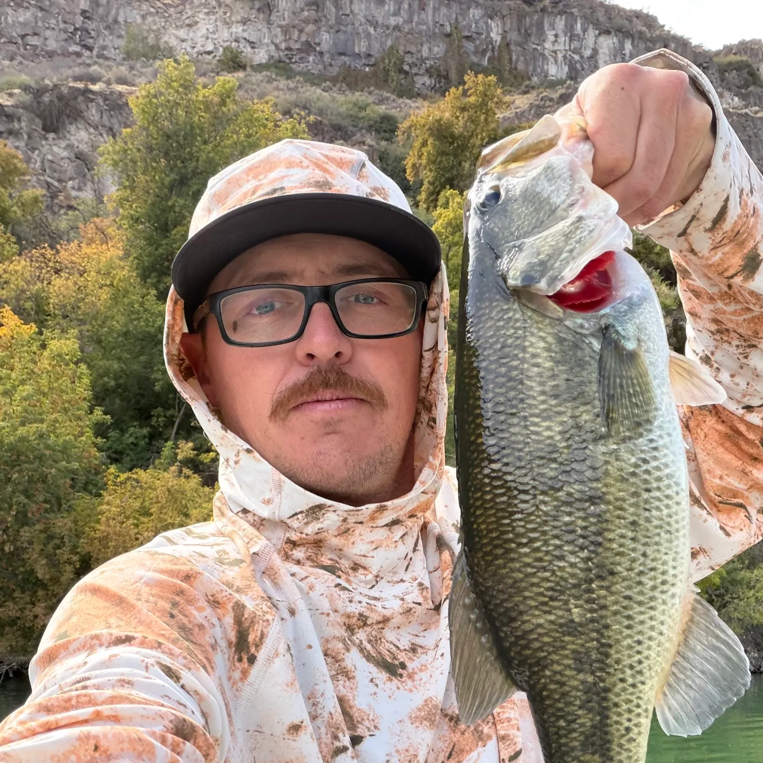 Largemouth bass caught on Fishbrain