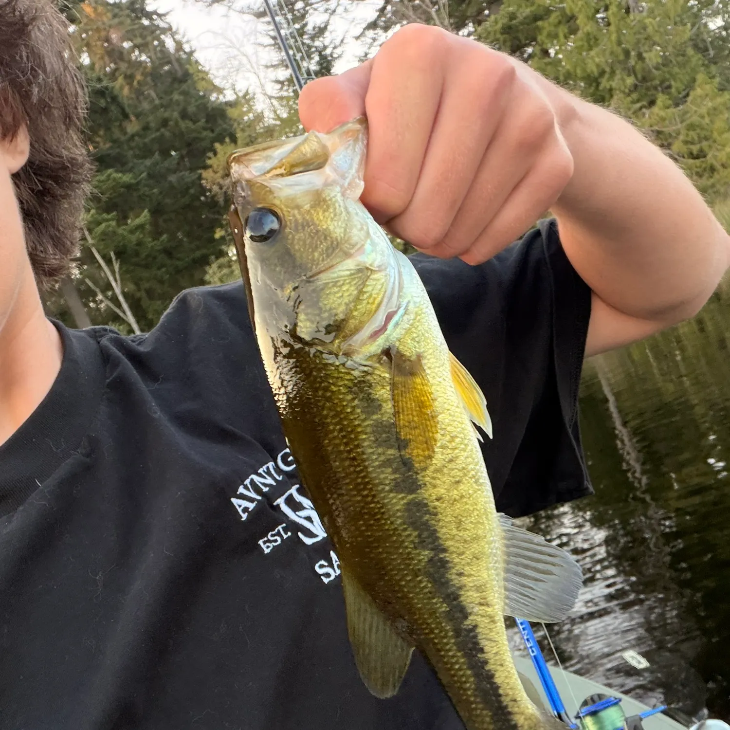 Largemouth bass caught on Fishbrain
