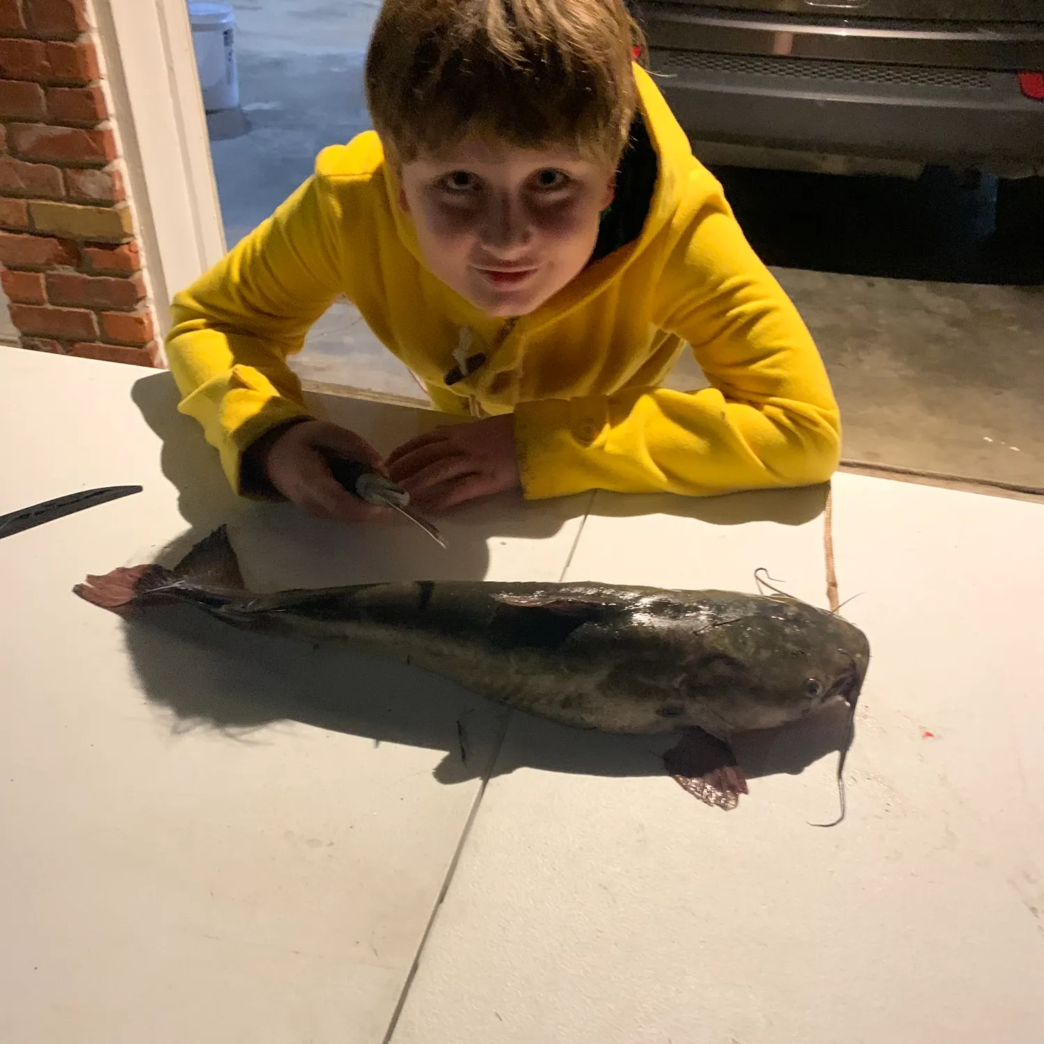 Channel catfish caught on Fishbrain