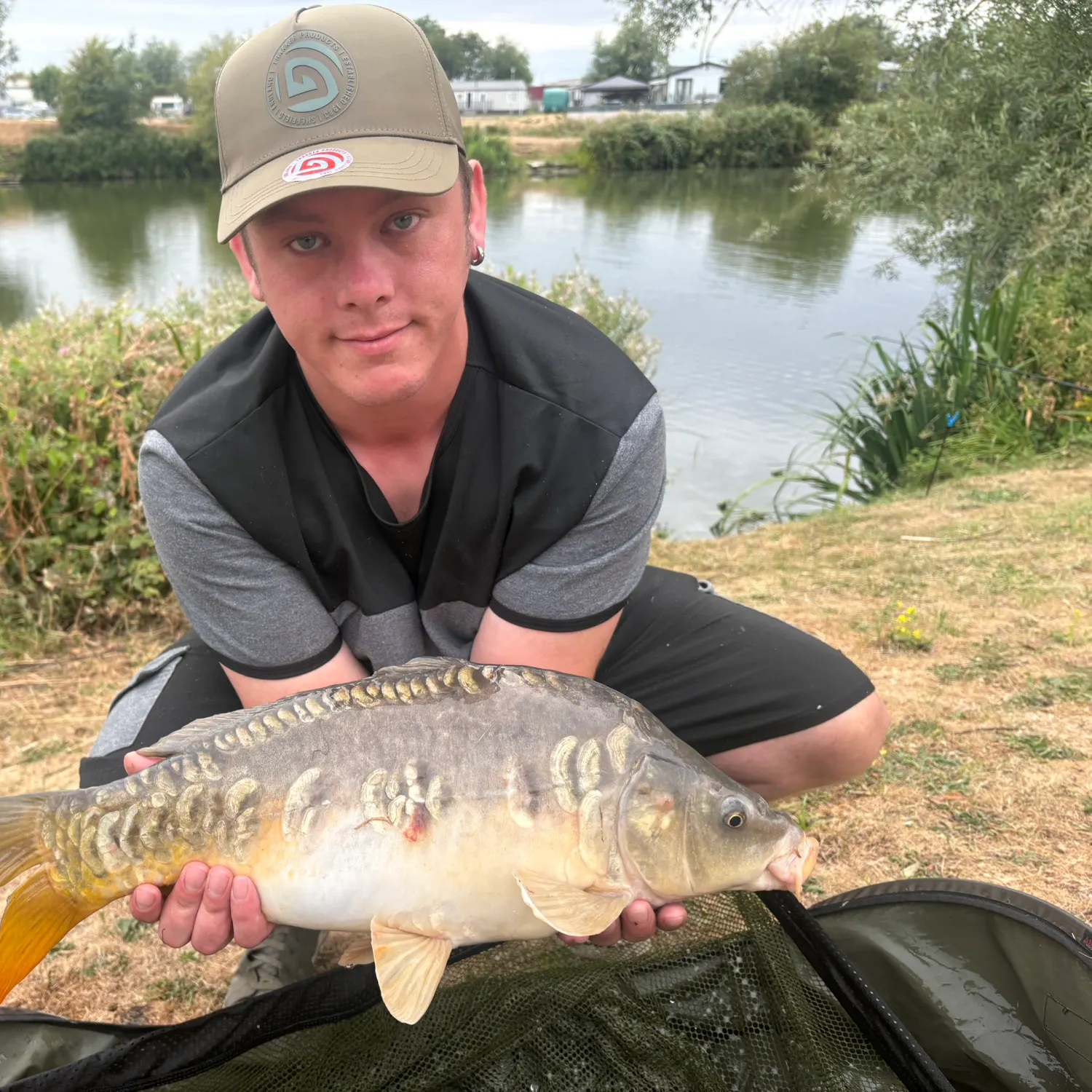 Mirror carp caught on Fishbrain