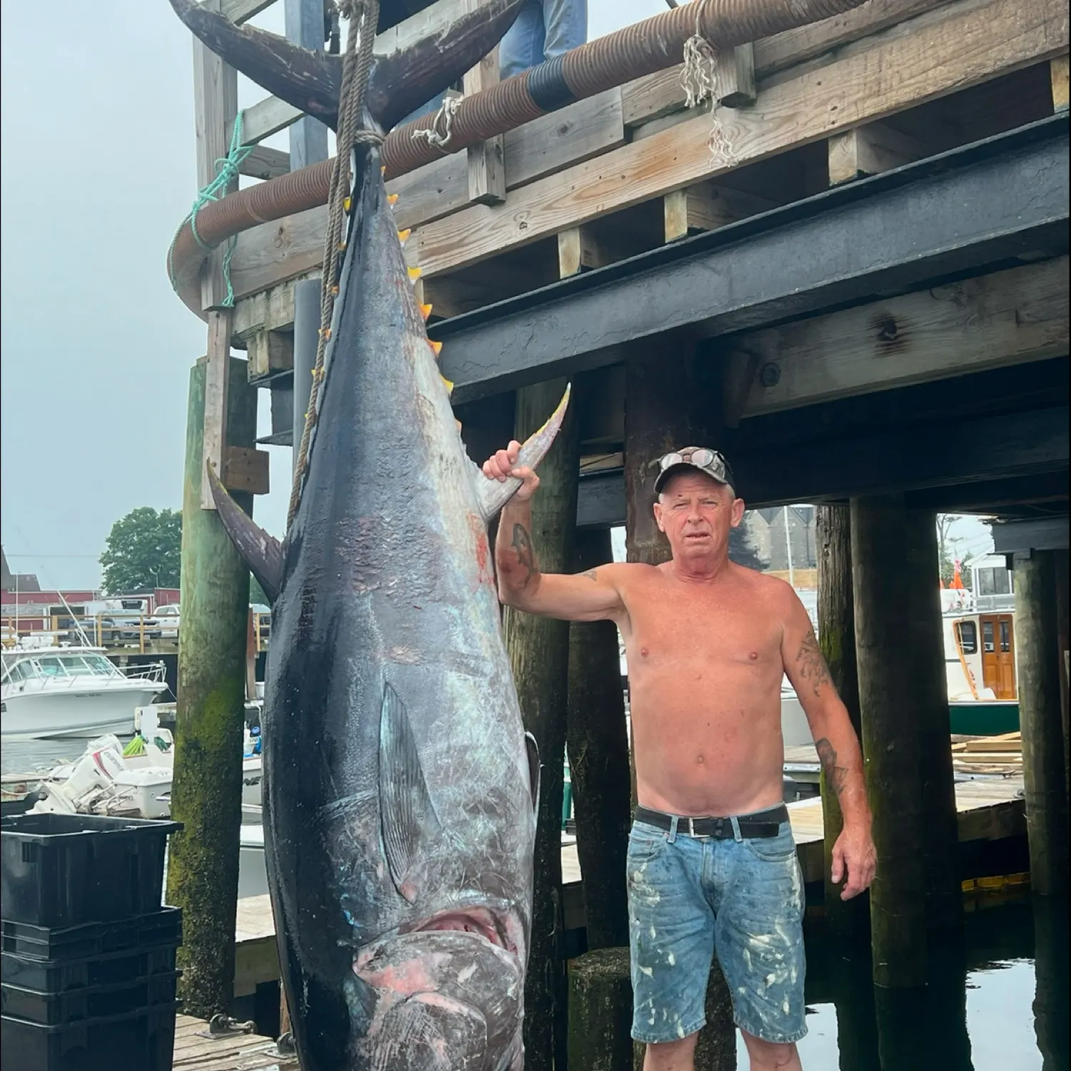 The most recent Atlantic bluefin tuna catches on Fishbrain