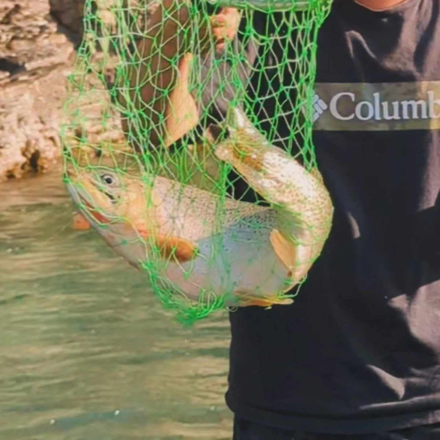 The most recent Westlope cutthroat trout catches on Fishbrain
