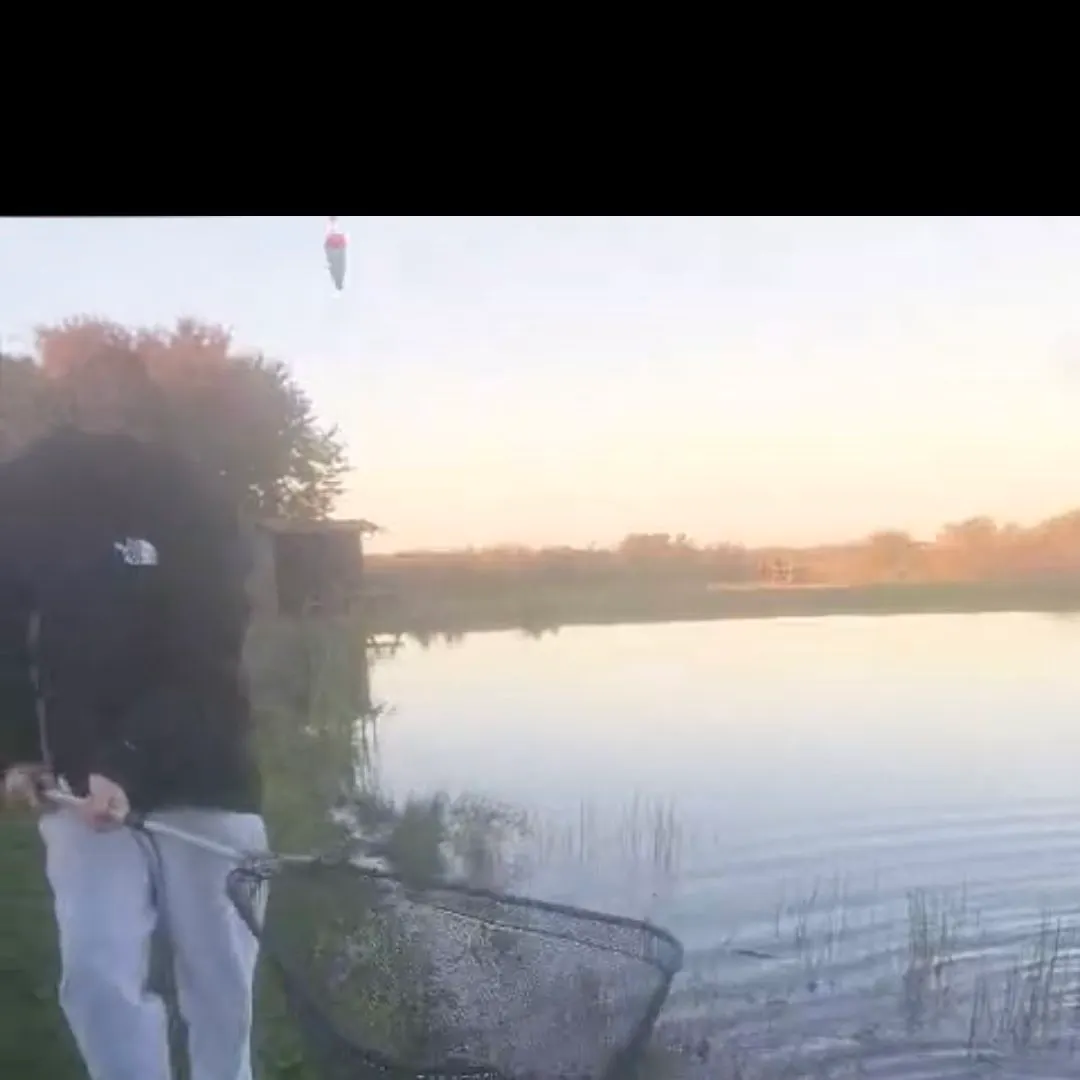 The most recent Golden trout catches on Fishbrain