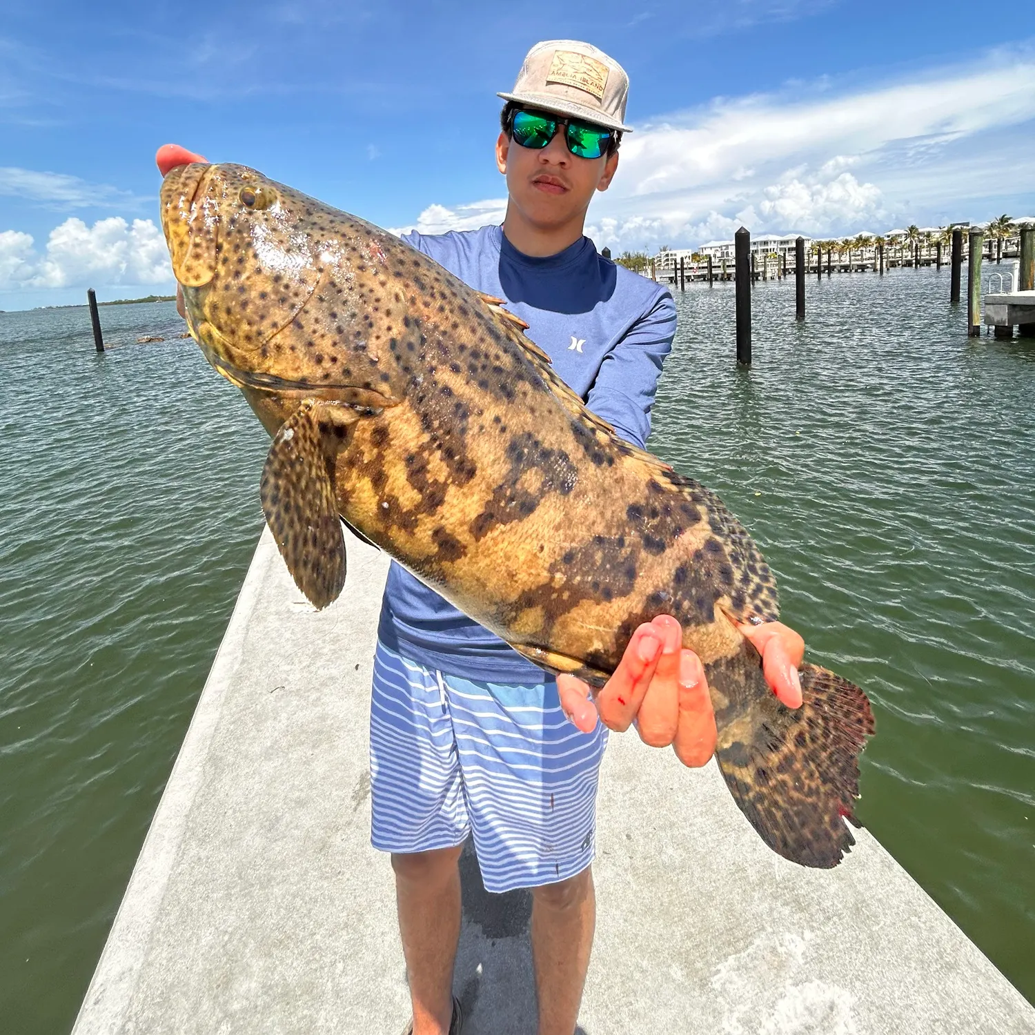 The most recent Atlantic goliath grouper catches on Fishbrain