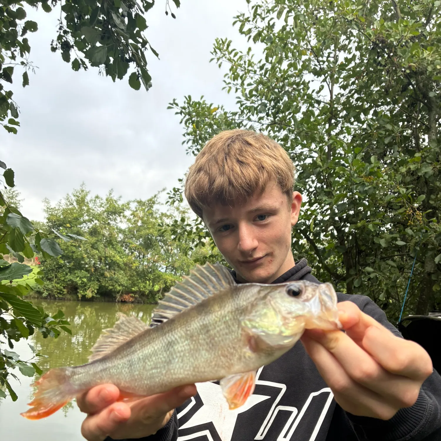 European perch caught on Fishbrain