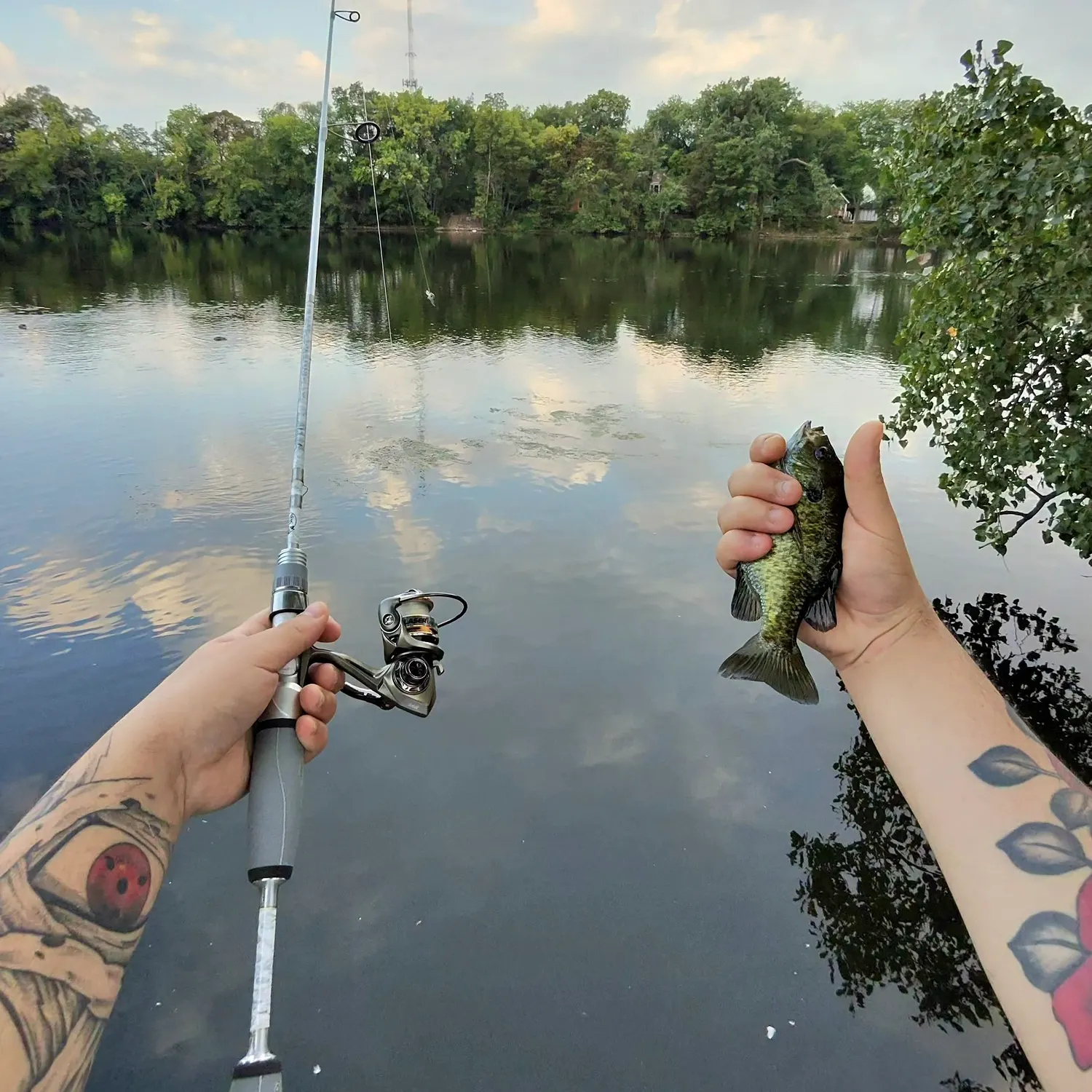recently logged catches
