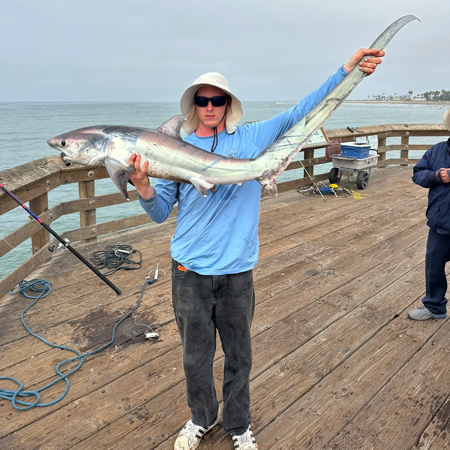 The most recent Common thresher catches on Fishbrain
