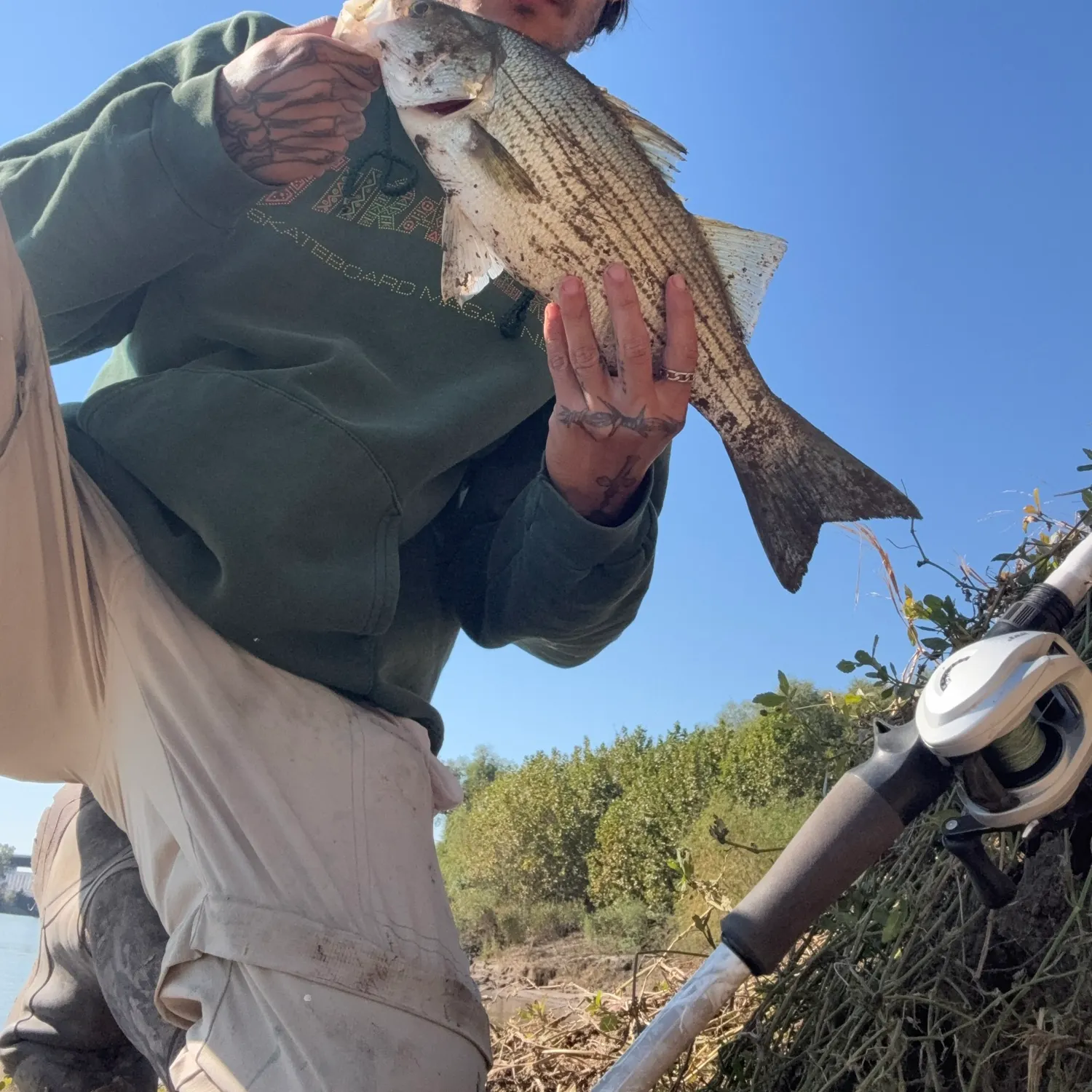 catch