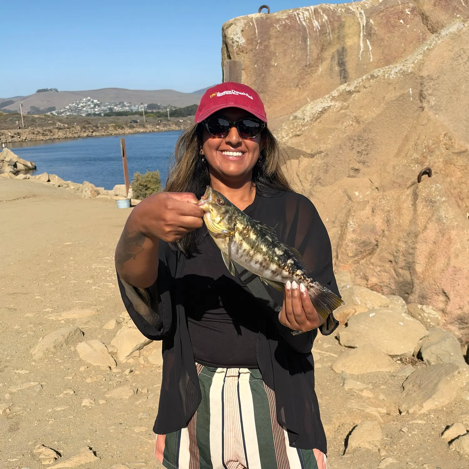 Kelp bass caught on Fishbrain
