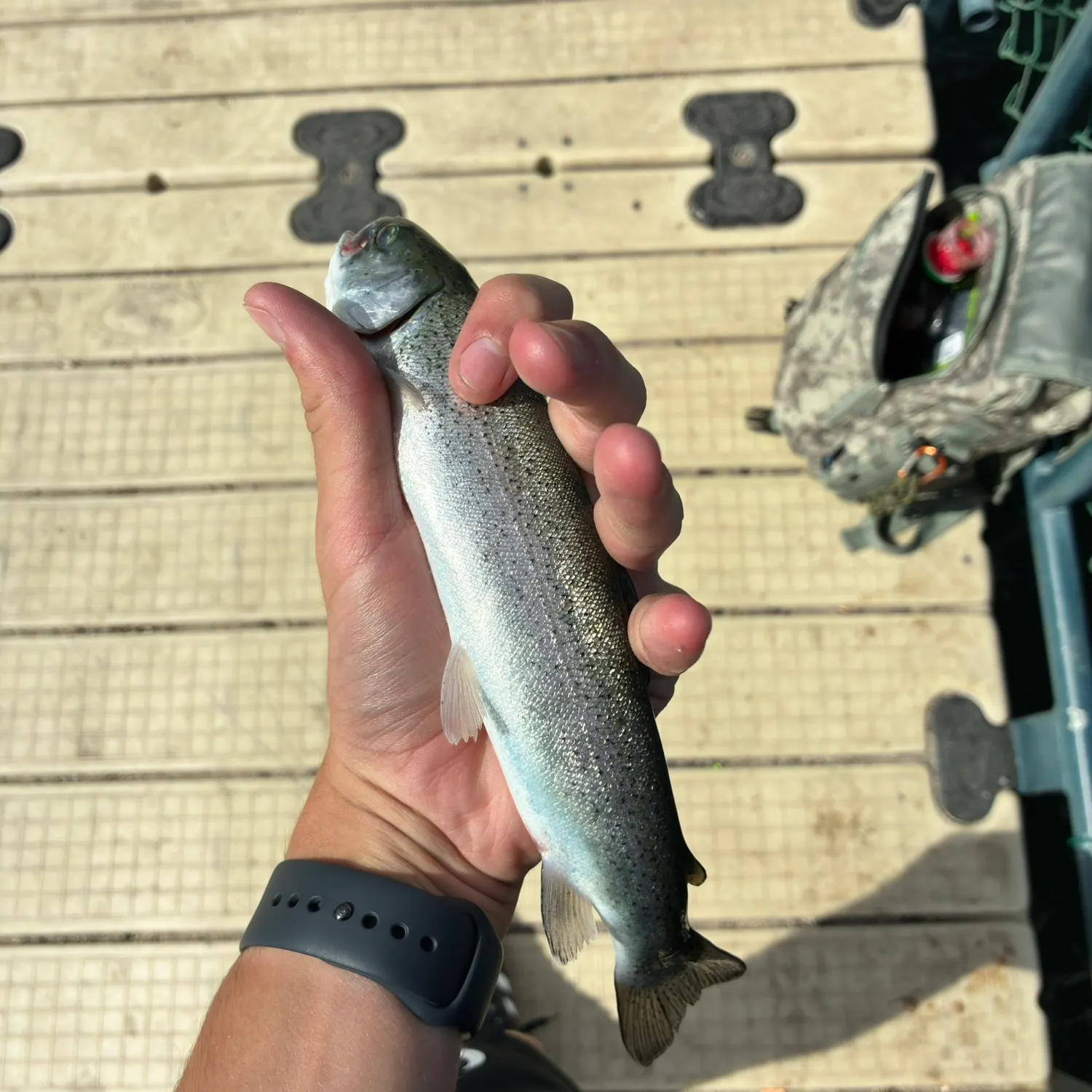 catch