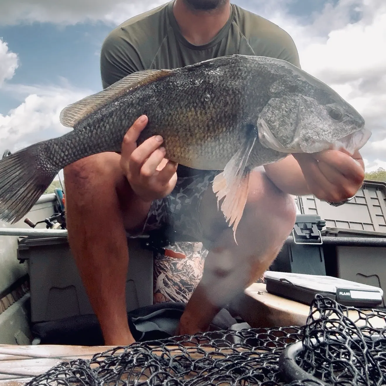 Freshwater drum caught on Fishbrain