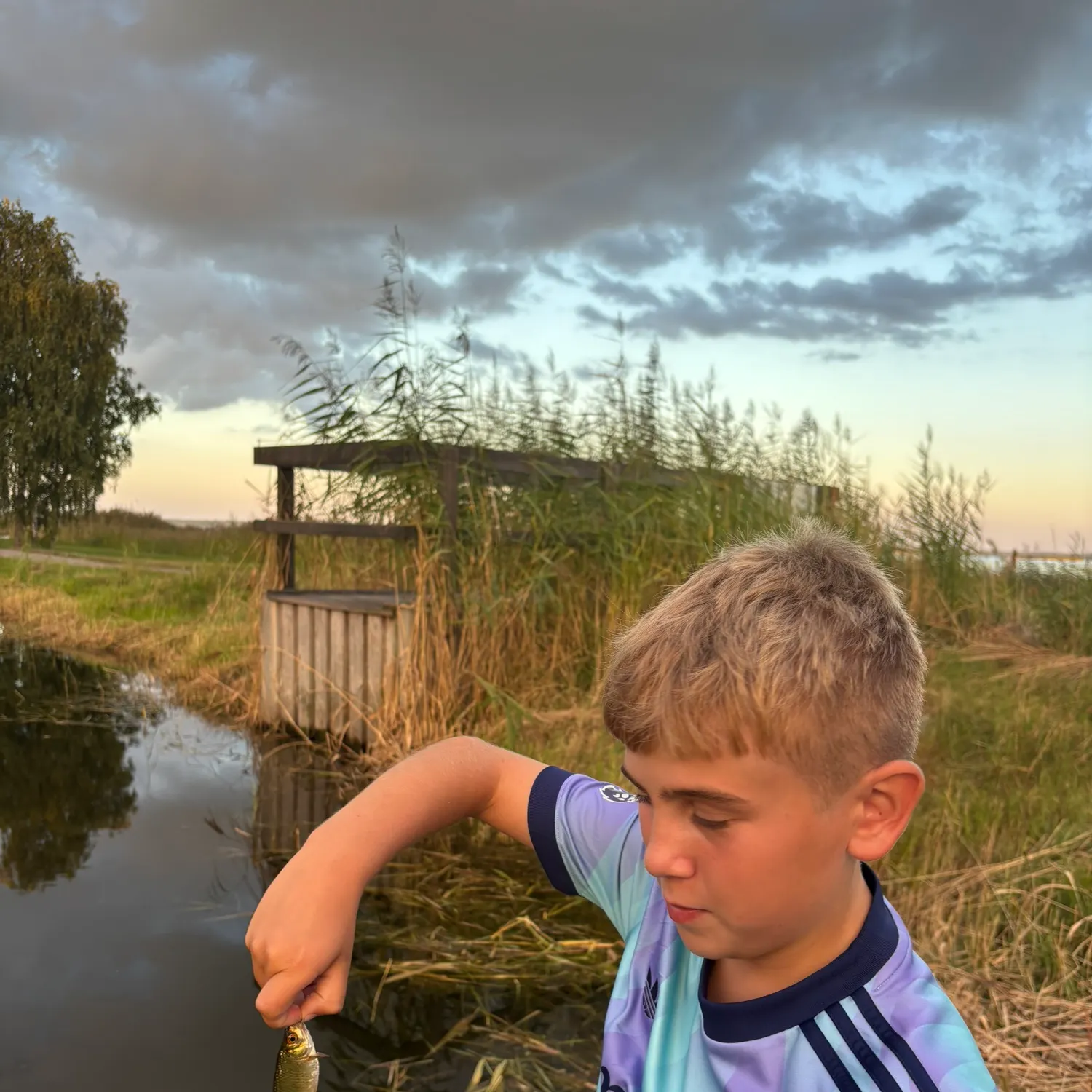 Common roach caught on Fishbrain