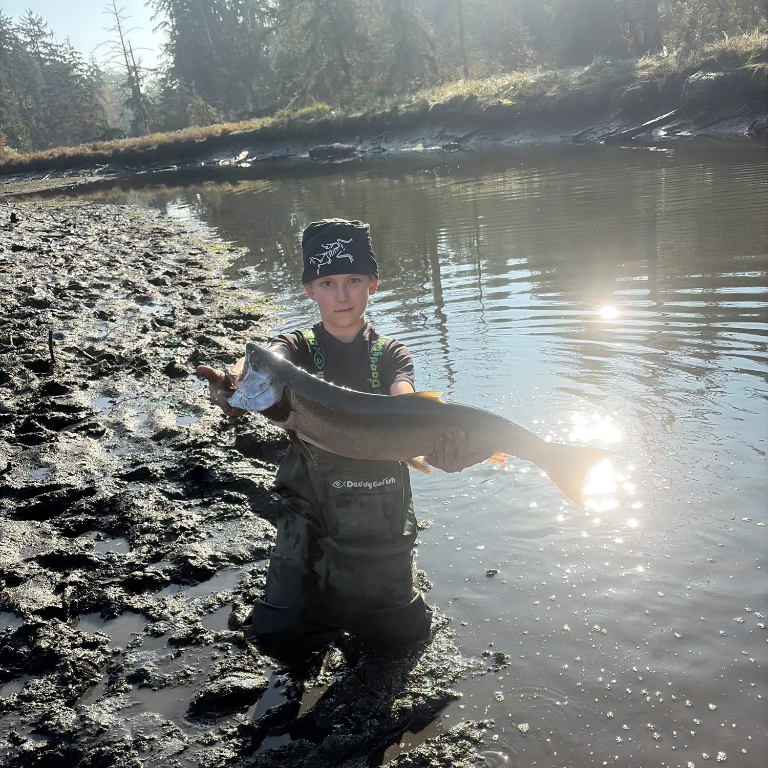The most recent Coho salmon catches on Fishbrain