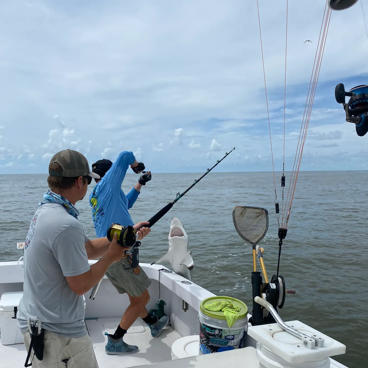 The most recent Blacktip shark catches on Fishbrain