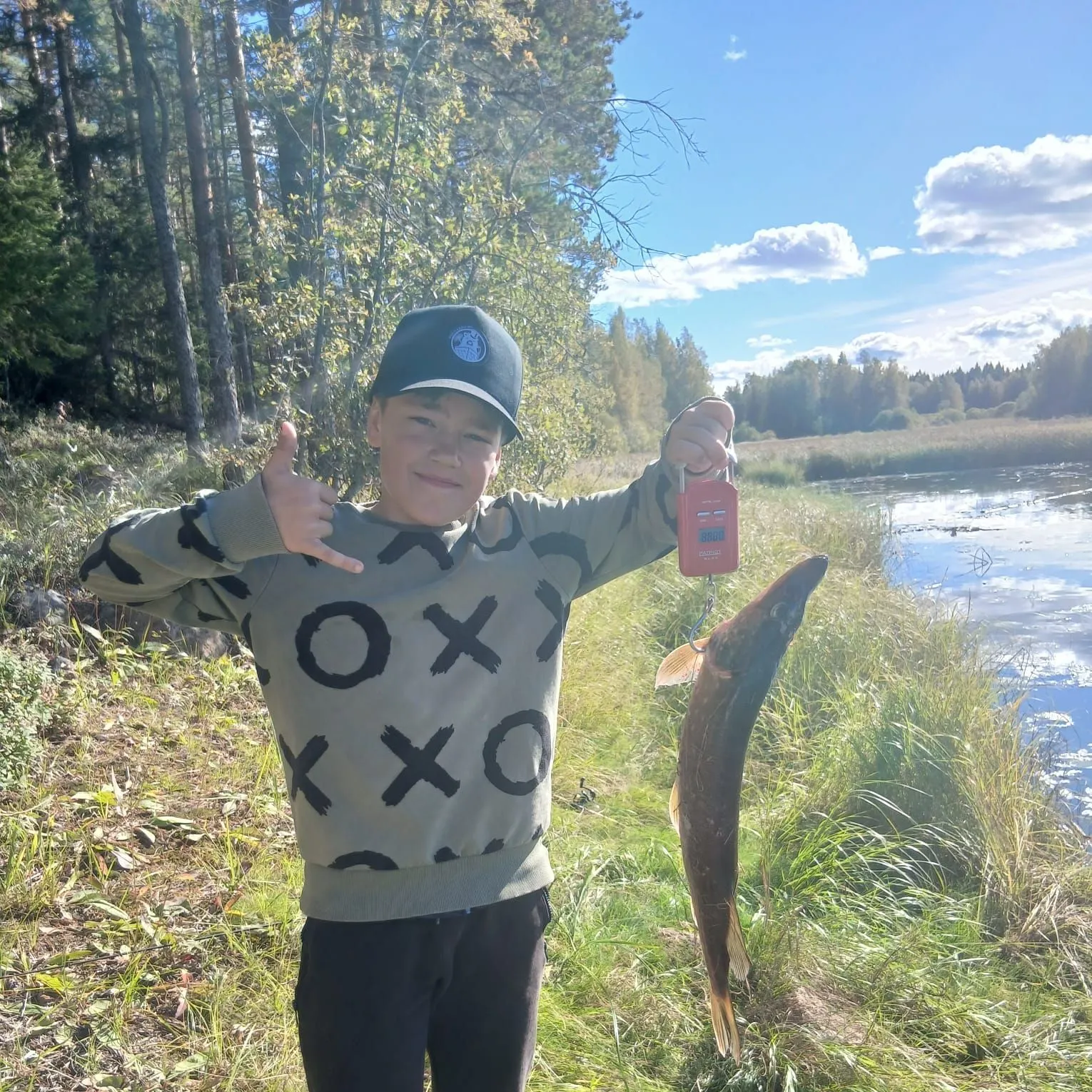 Northern pike caught on Fishbrain