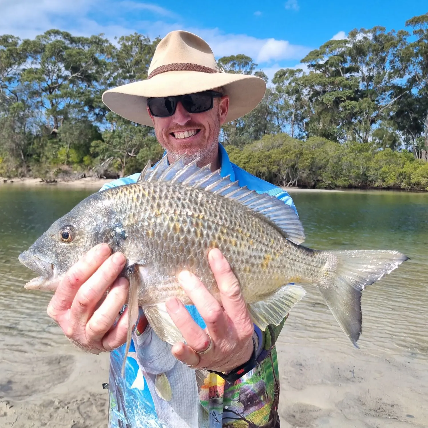 Surf bream caught on Fishbrain