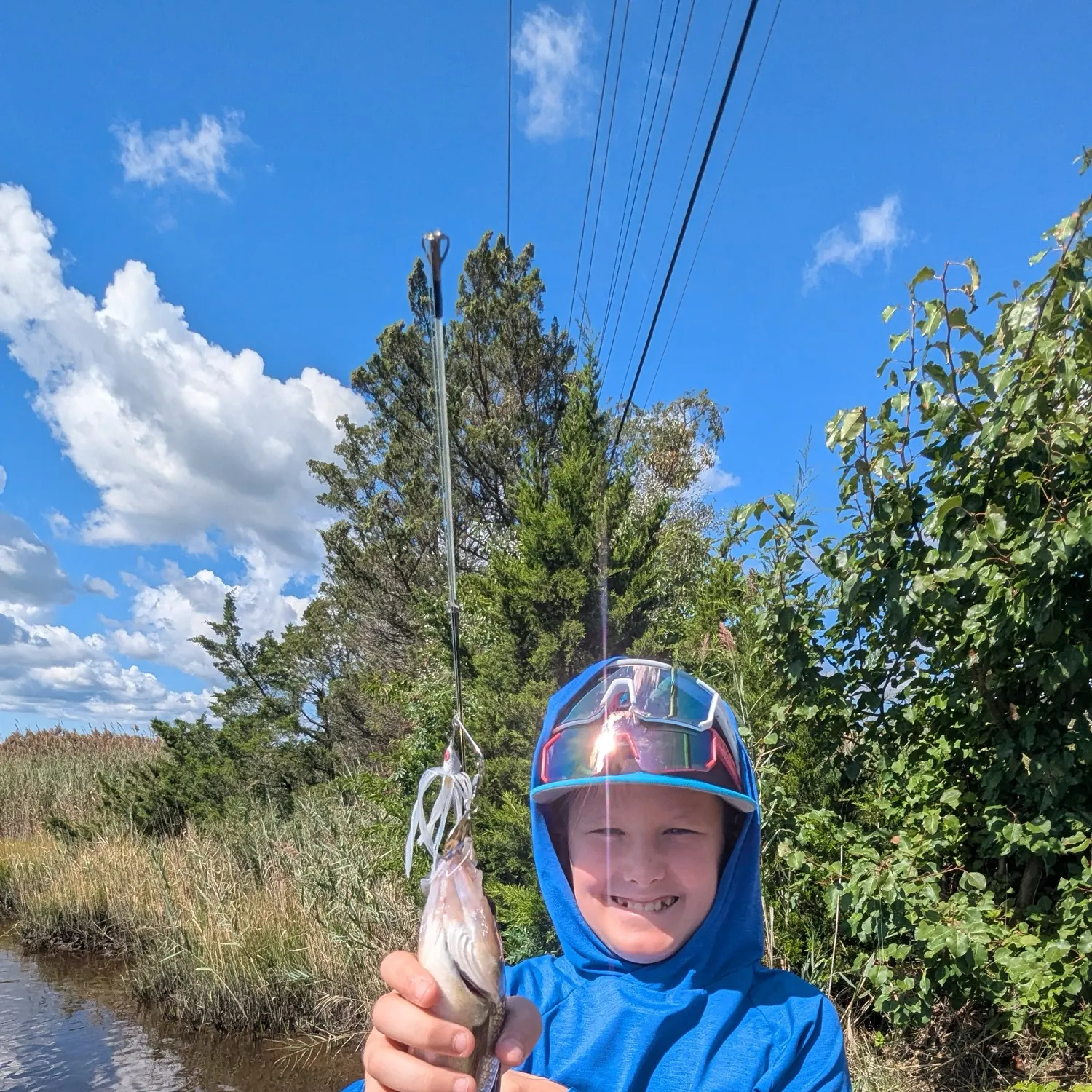 White perch caught on Fishbrain