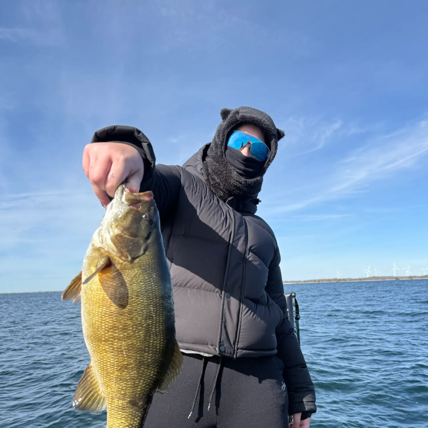 Smallmouth bass caught on Fishbrain