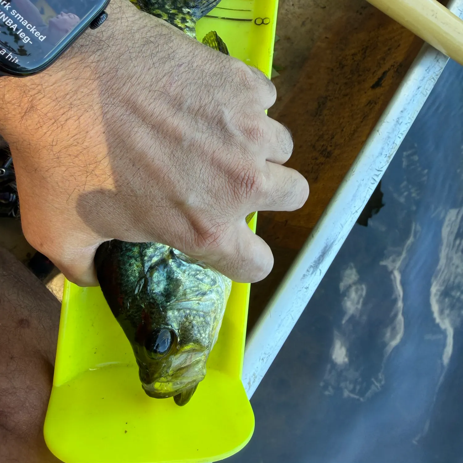 recently logged catches