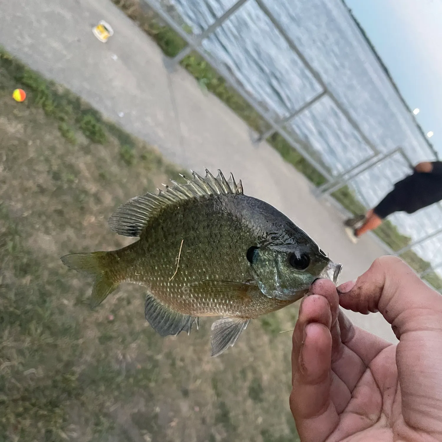 catch