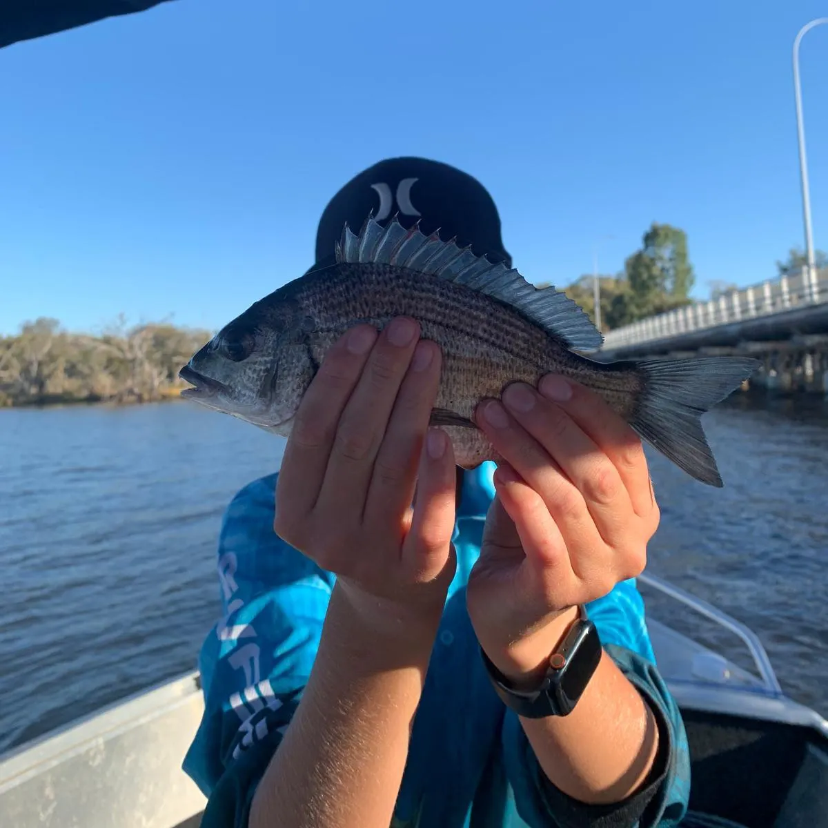 The most recent Southern black bream catches on Fishbrain