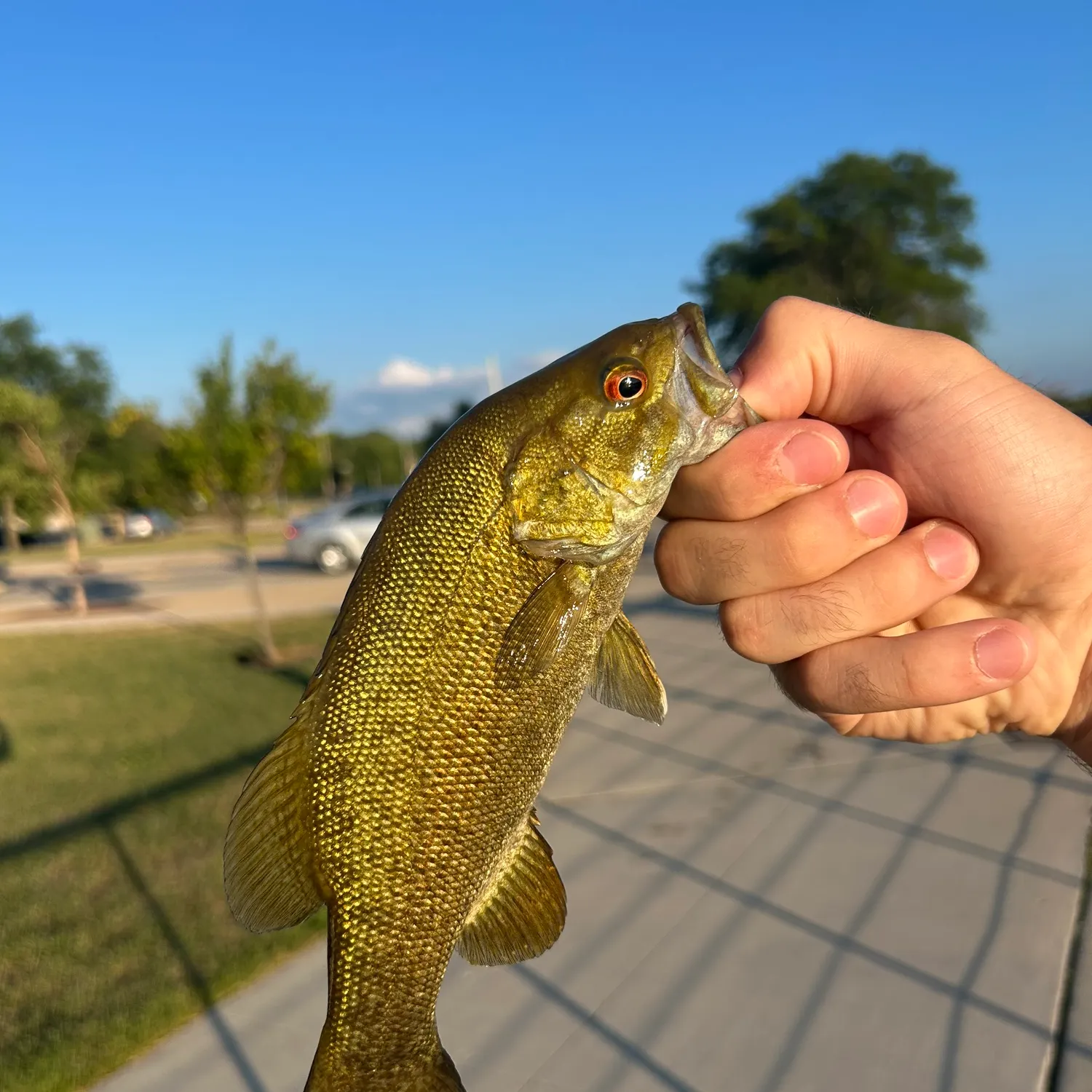 catch