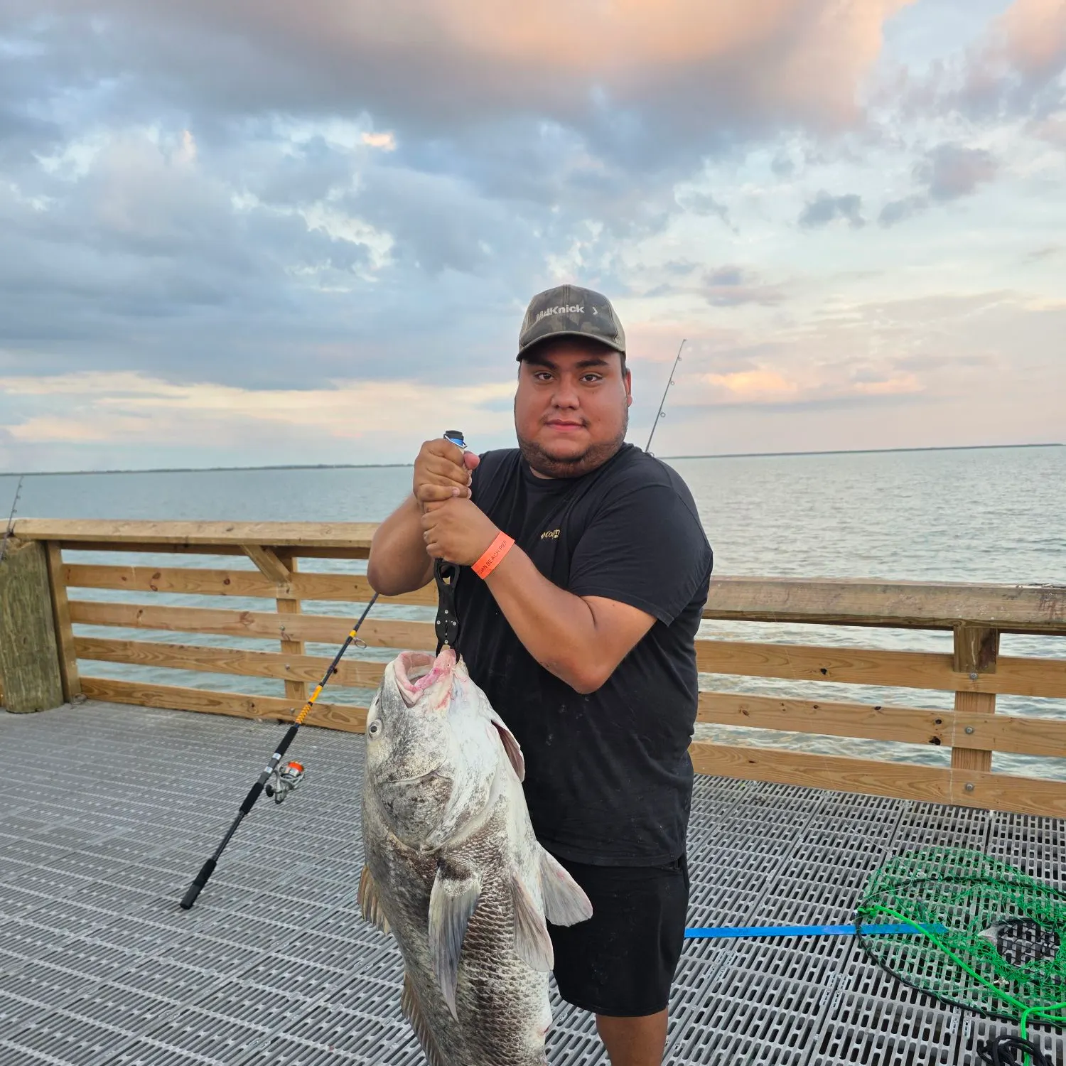 Black drum caught on Fishbrain