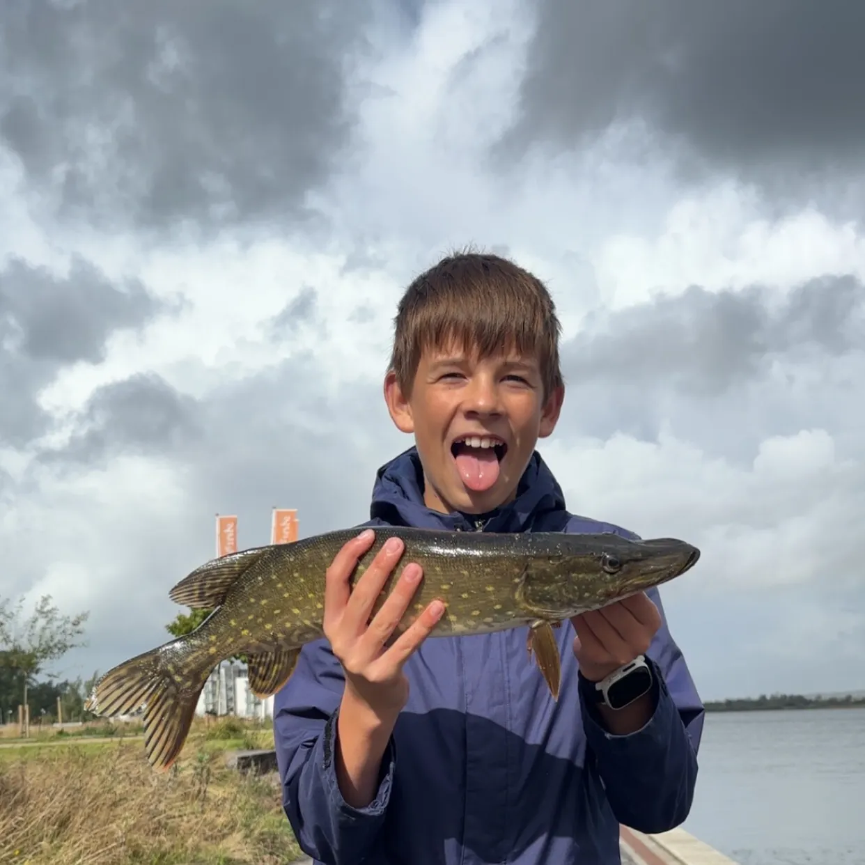 Northern pike caught on Fishbrain