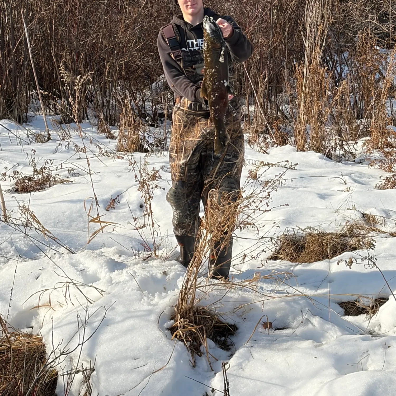 The most recent Coho salmon catches on Fishbrain